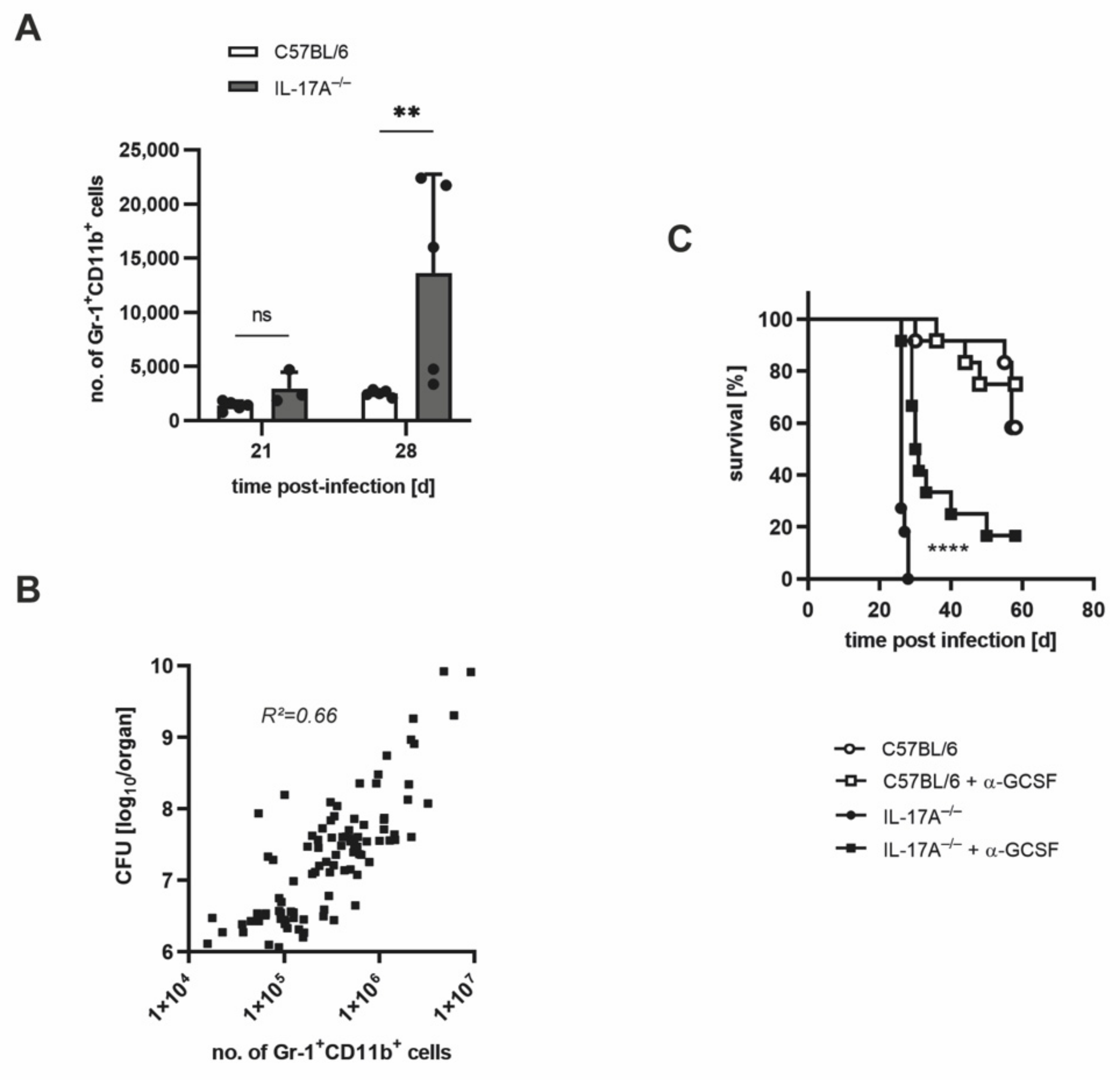 Cells 11 02875 g006 550