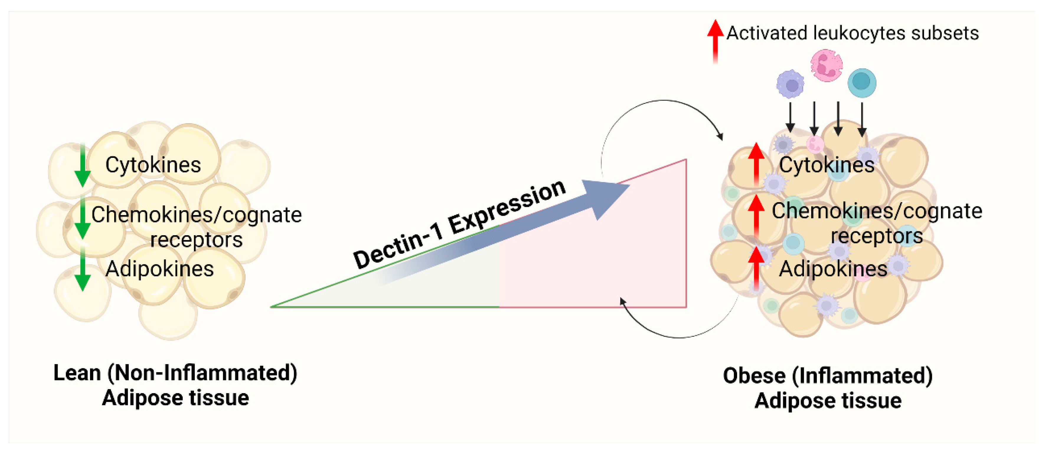 Cells 11 02879 g003 Cells 11 02879 g003