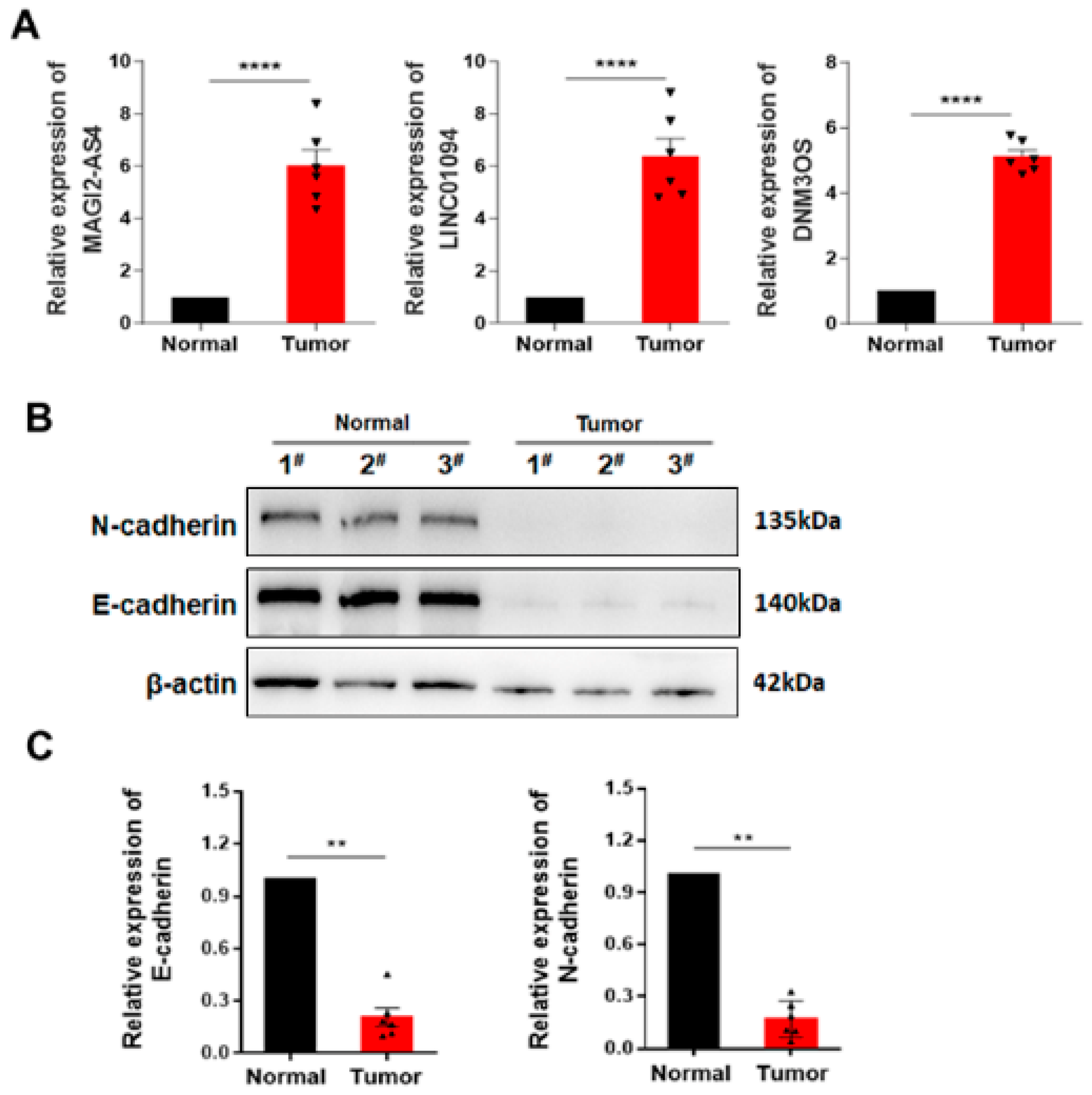 Cells 11 02881 g009 550