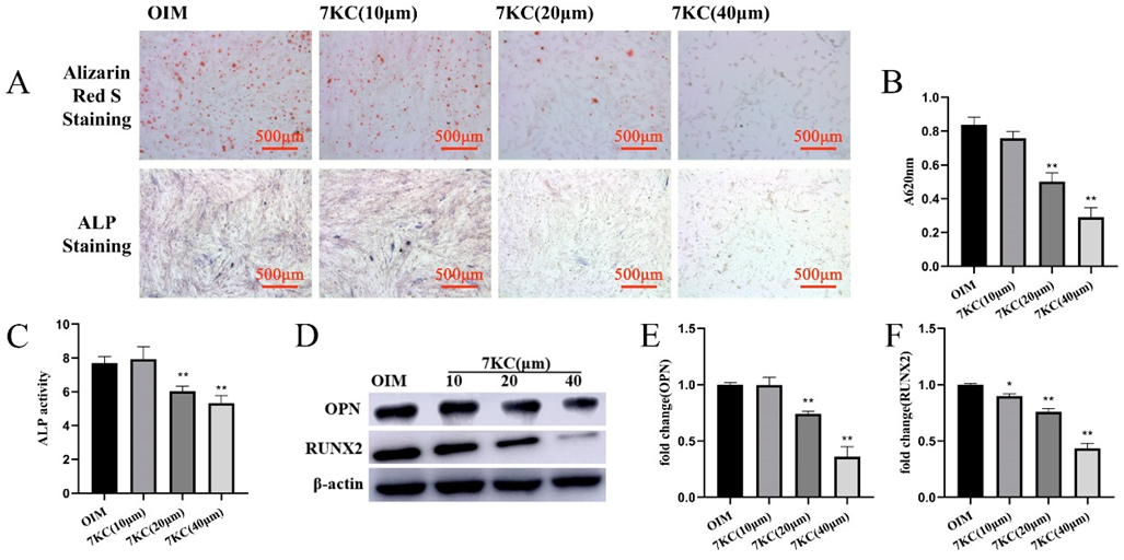 Cells 11 02882 g002 550
