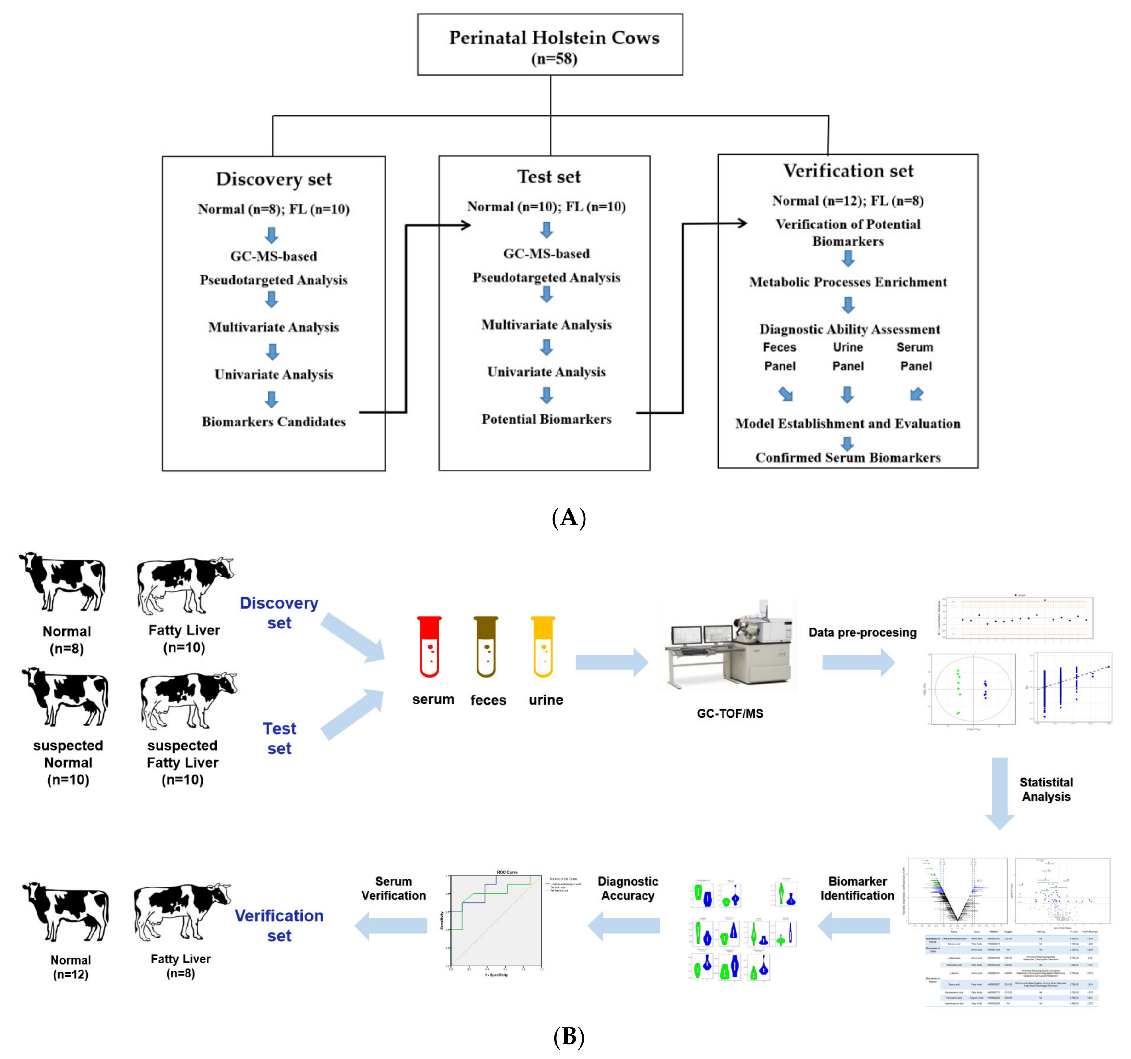 Cells 11 02883 g001 Cells 11 02883 g001