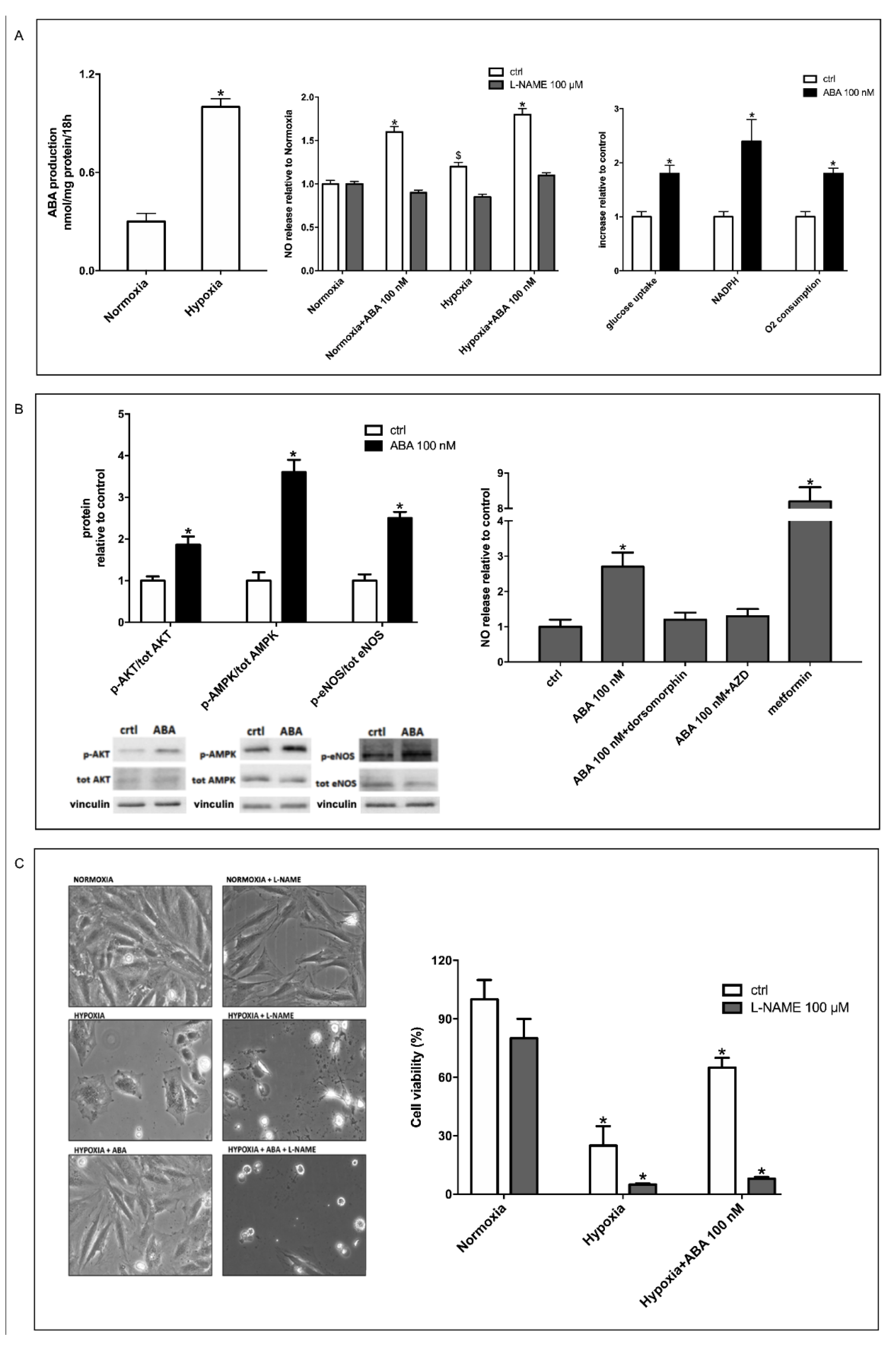 Cells 11 02888 g001 Cells 11 02888 g001