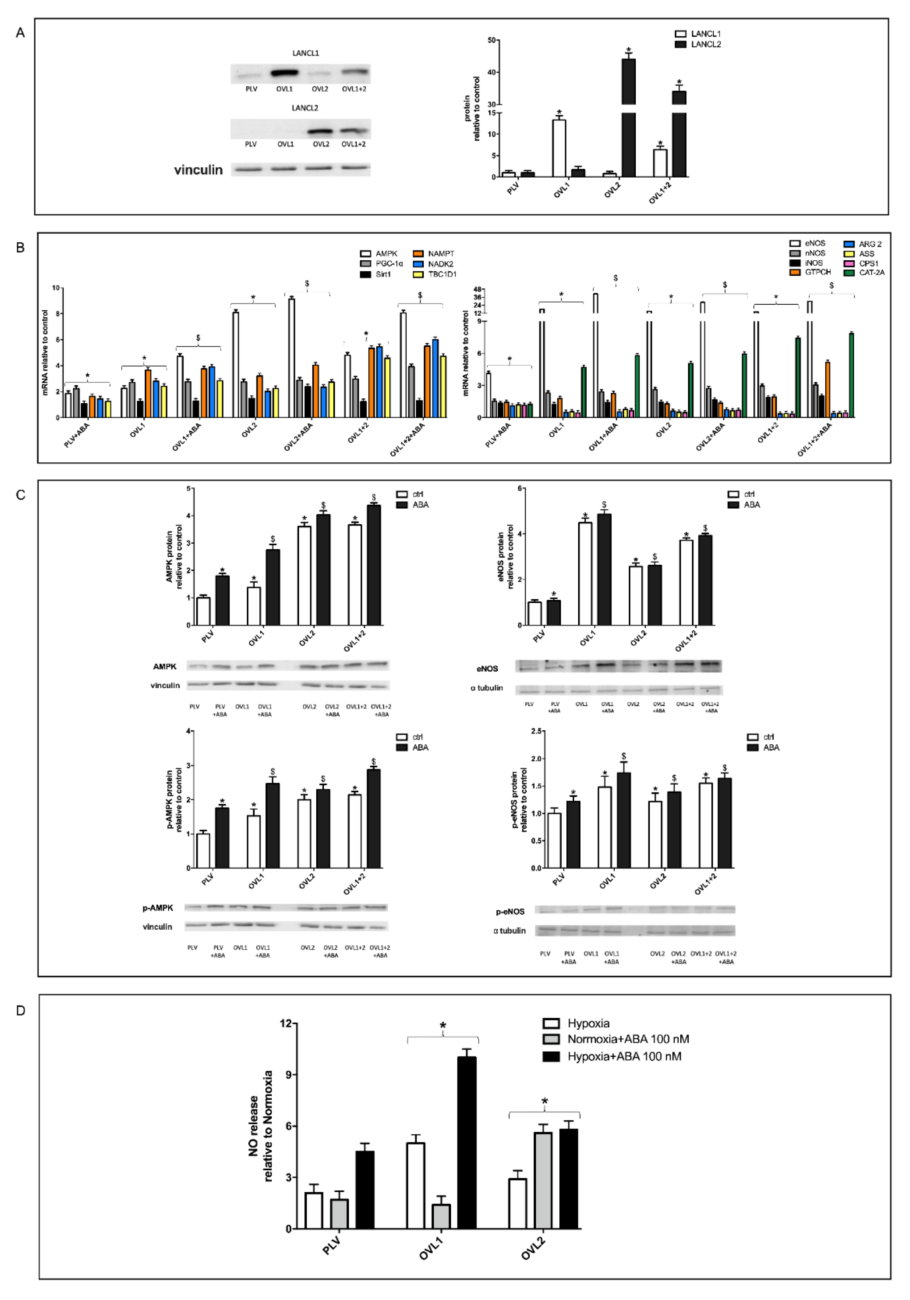 Cells 11 02888 g002 Cells 11 02888 g002