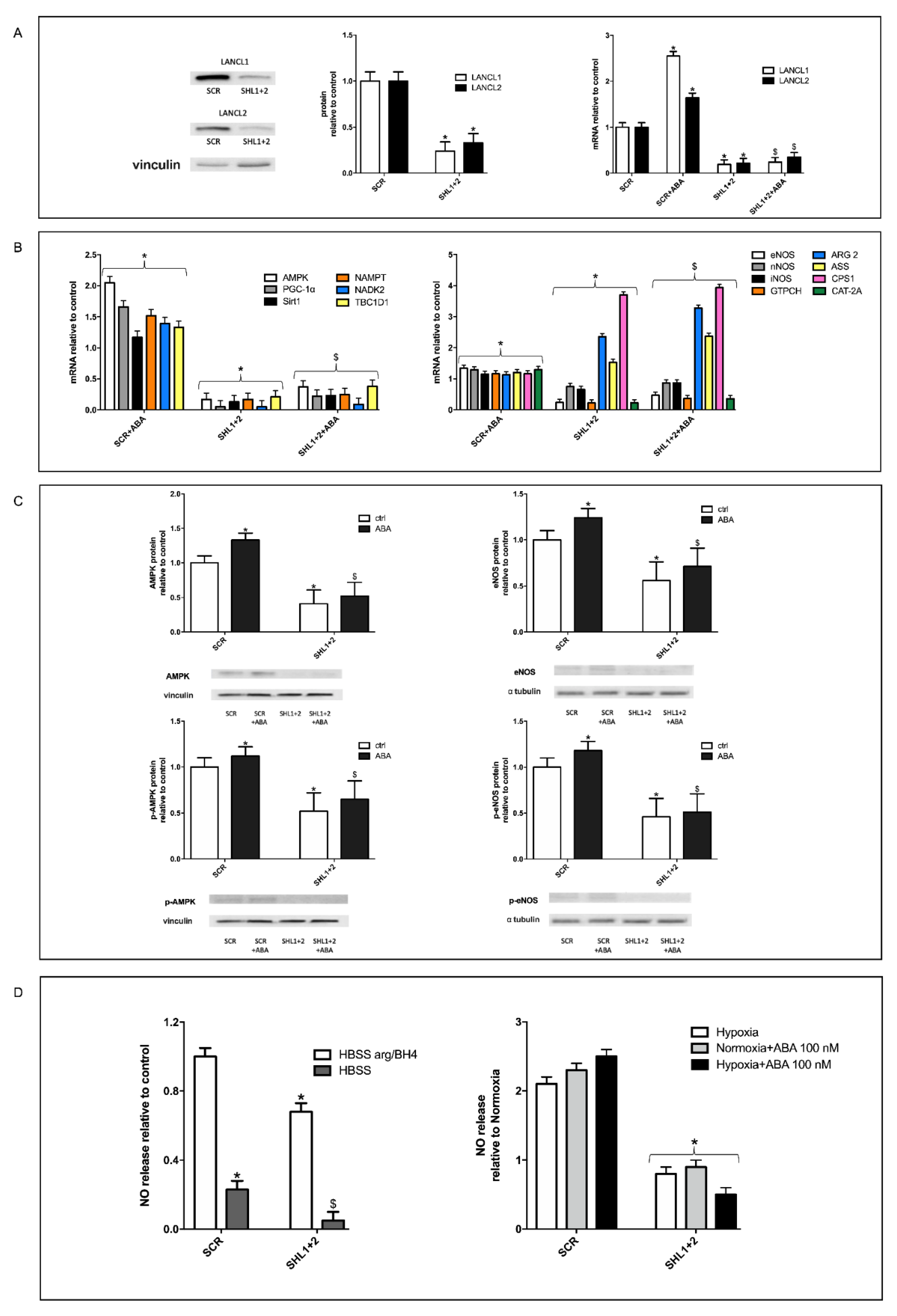 Cells 11 02888 g003 Cells 11 02888 g003