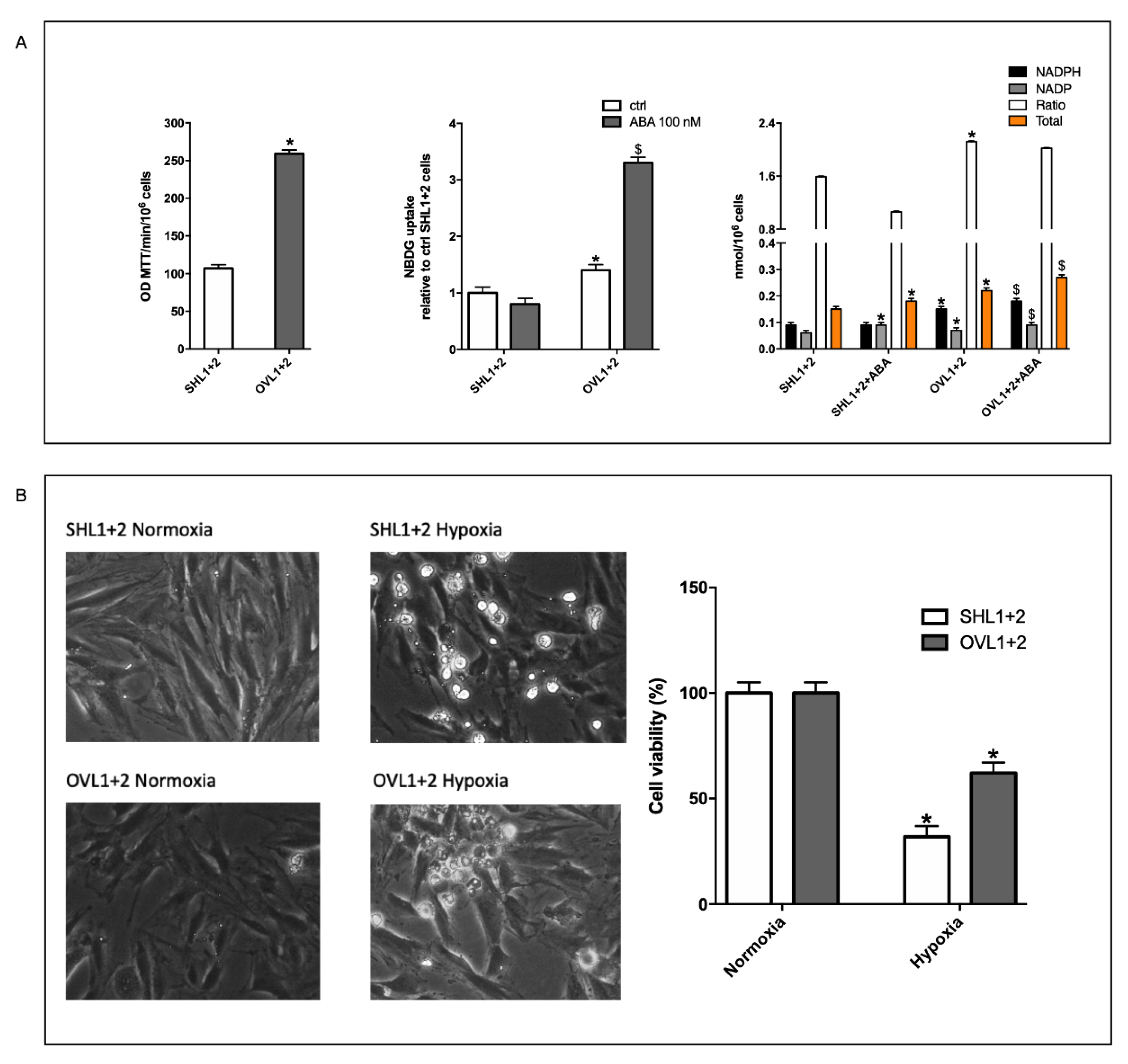Cells 11 02888 g006 Cells 11 02888 g006
