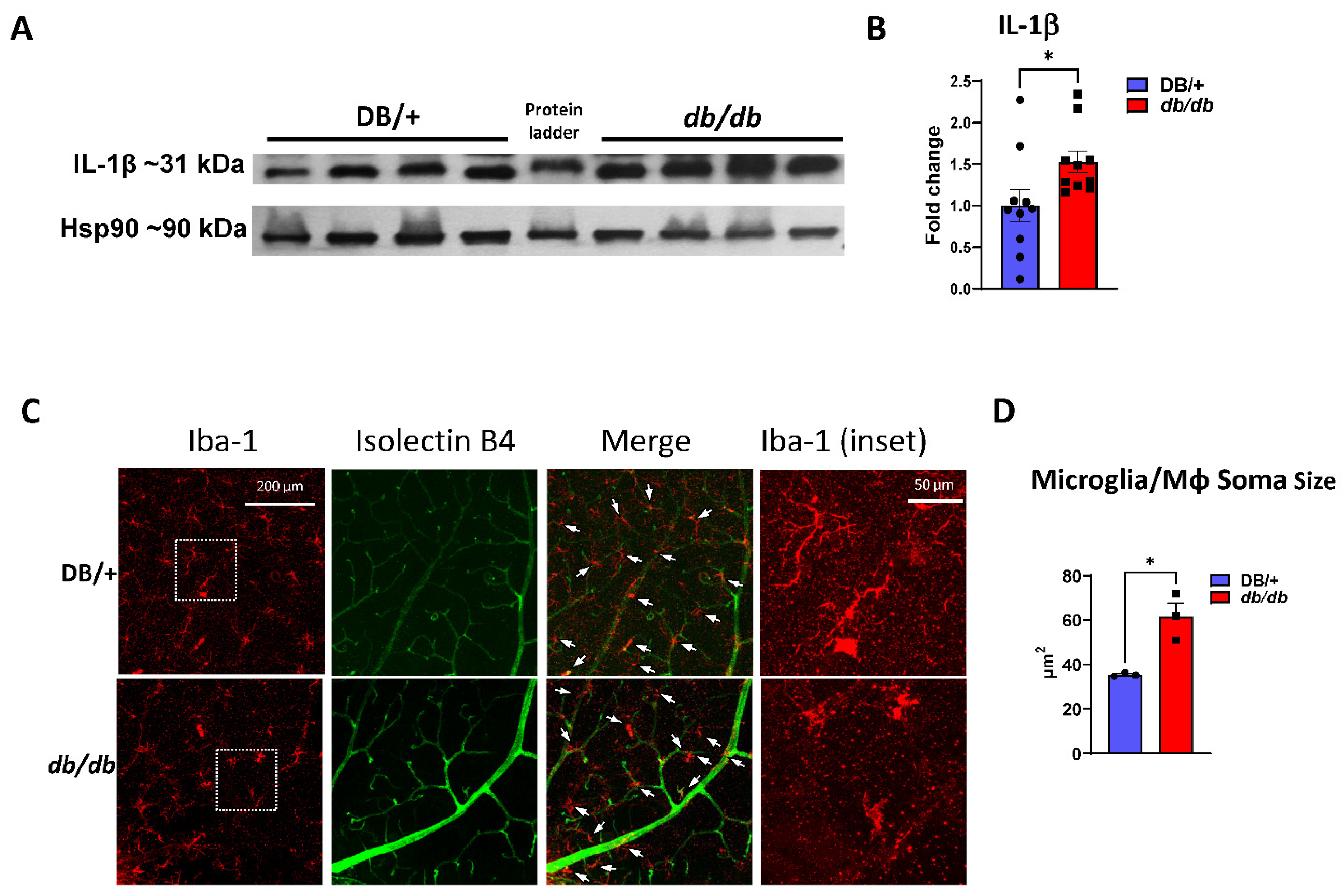 Cells 11 02890 g005 Cells 11 02890 g005