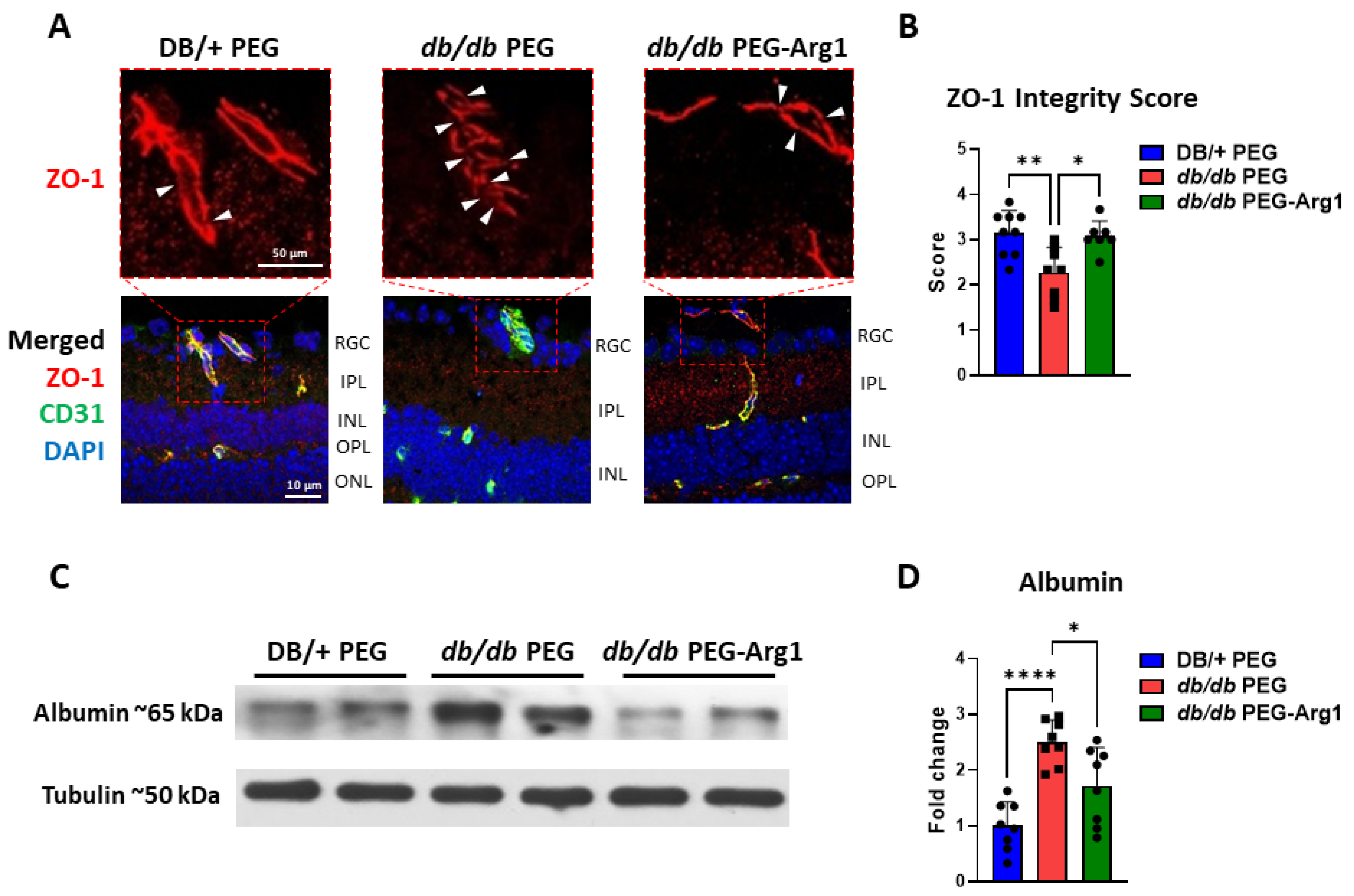 Cells 11 02890 g007 Cells 11 02890 g007