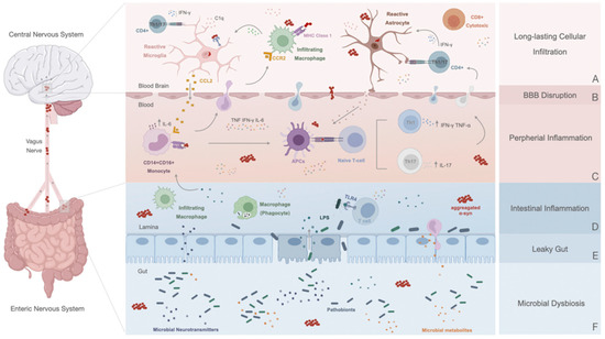 Neuroinflammation and Parkinson's Disease—From