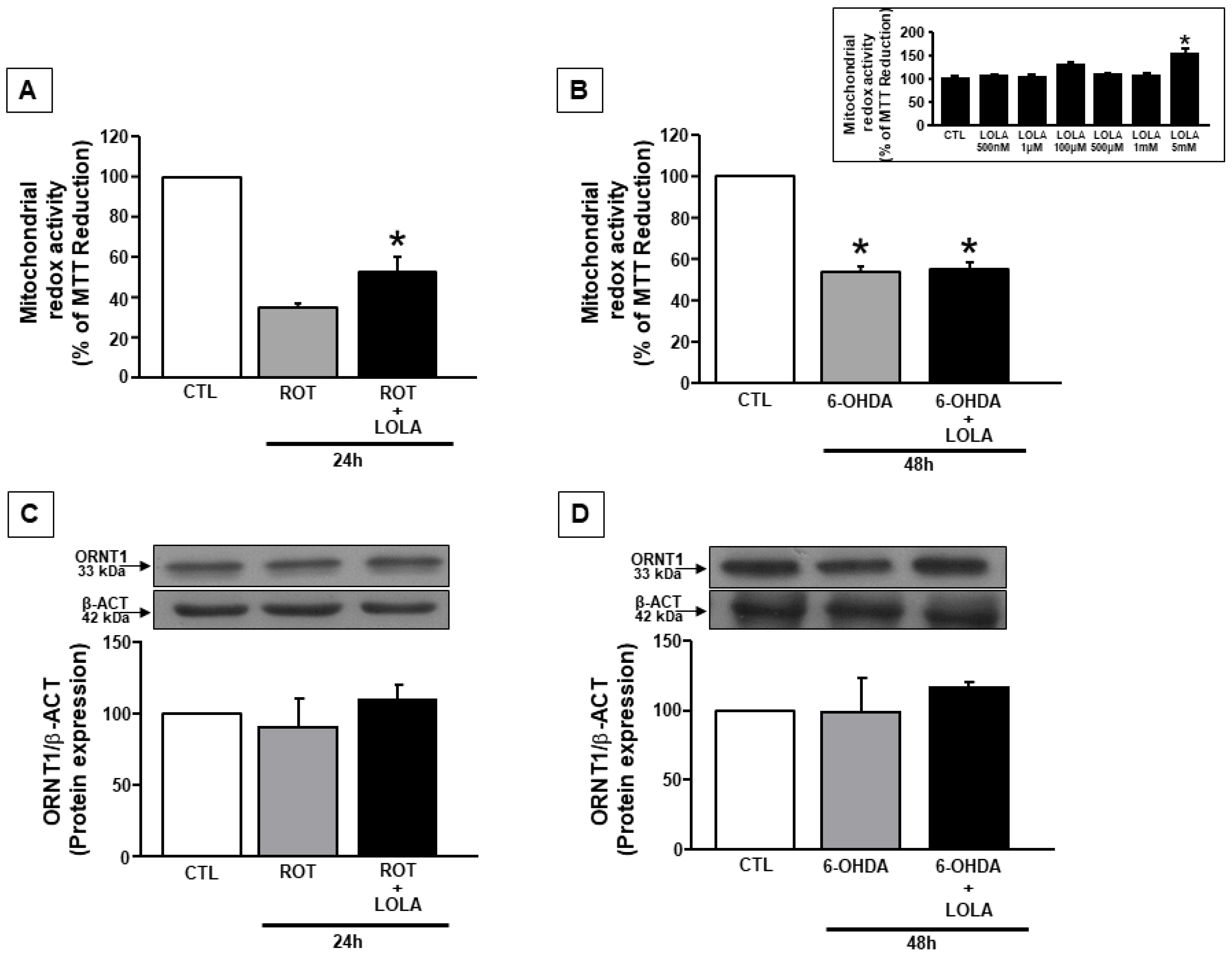 Cells 11 02909 g001 Cells 11 02909 g001