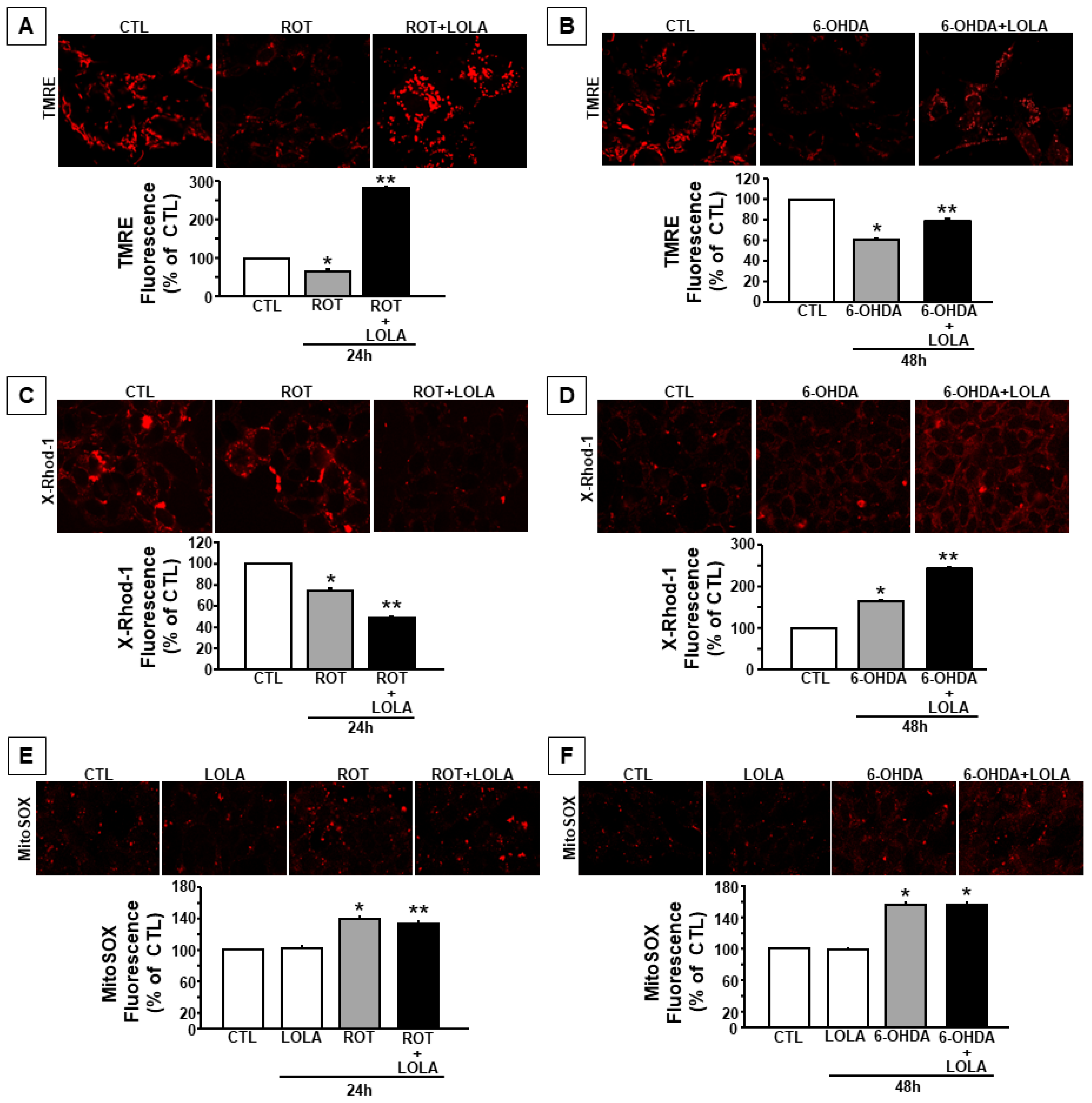 Cells 11 02909 g002 Cells 11 02909 g002