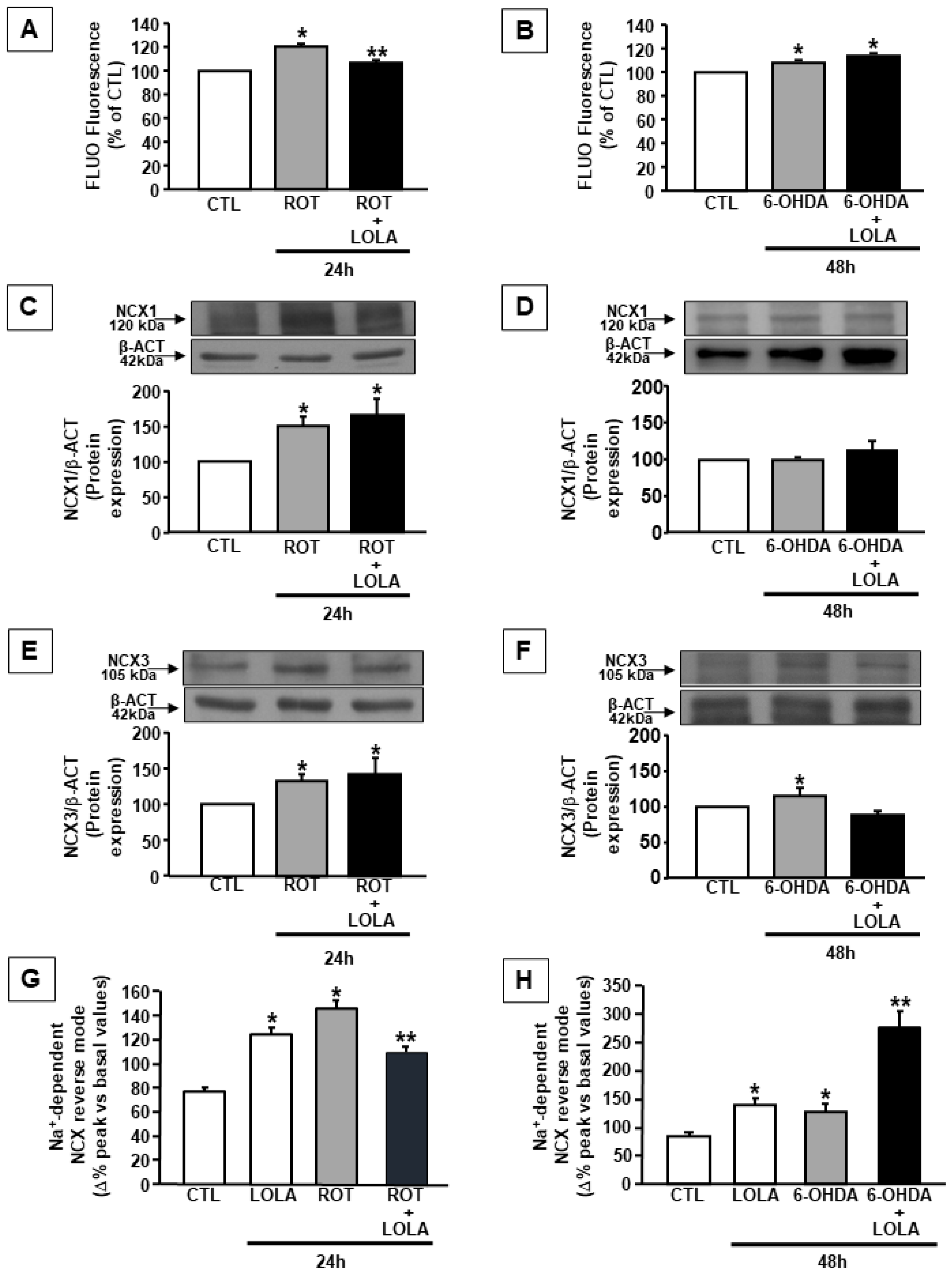 Cells 11 02909 g003 Cells 11 02909 g003