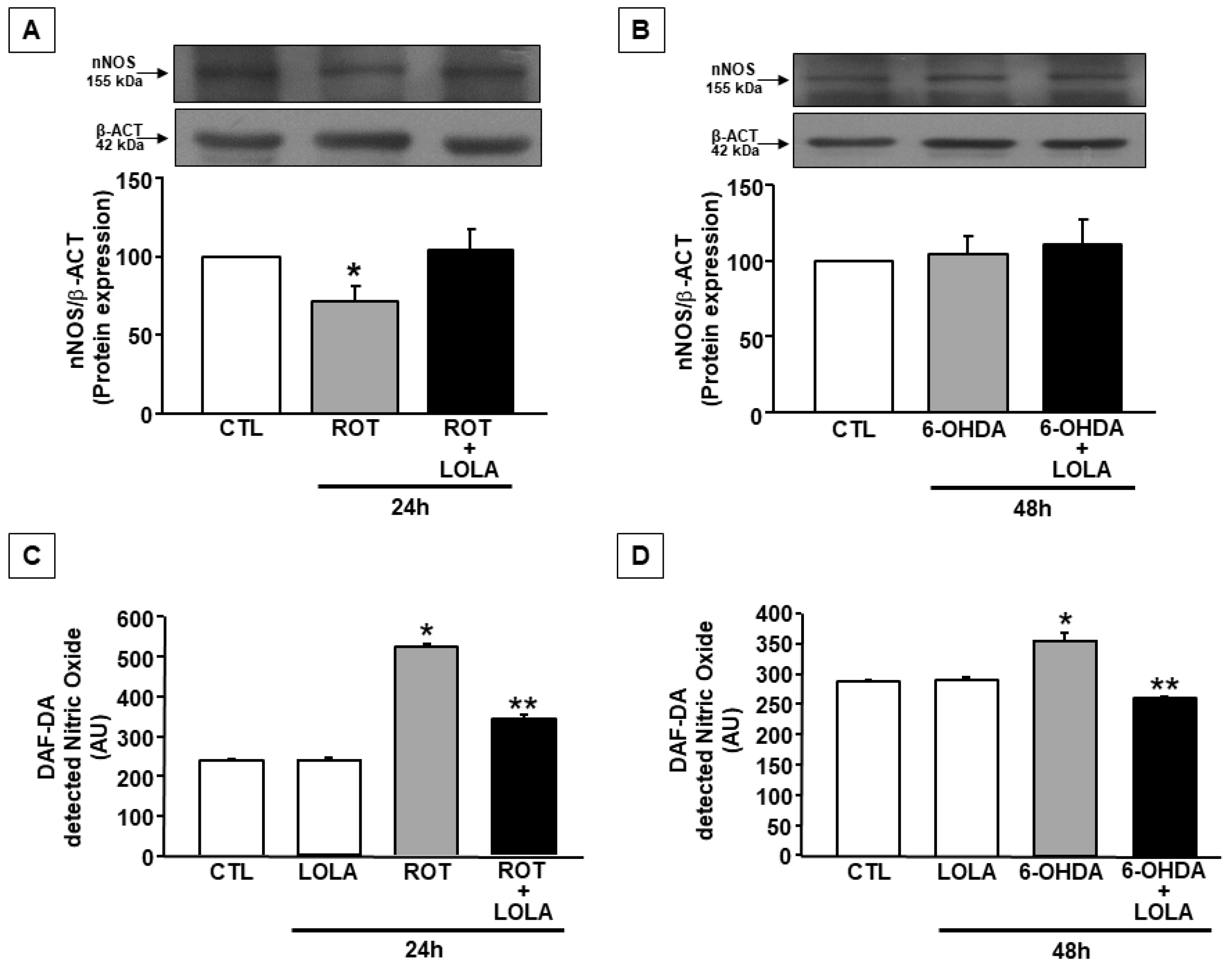 Cells 11 02909 g004 Cells 11 02909 g004