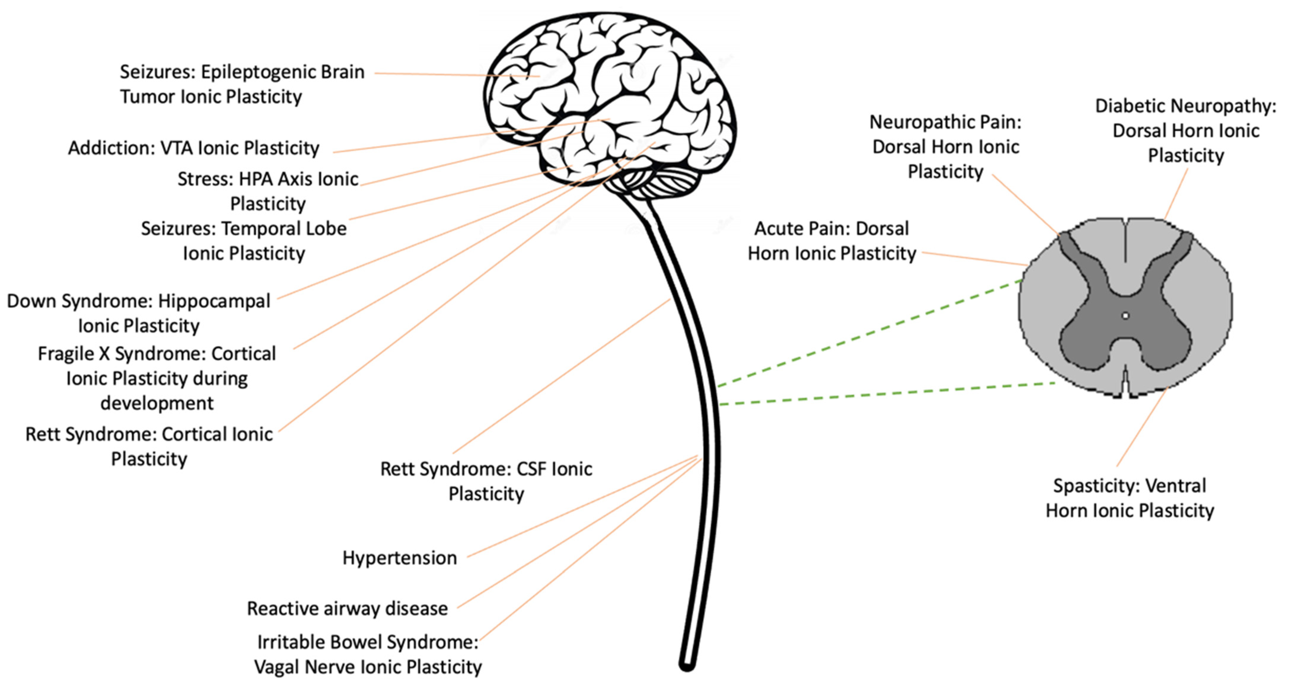 Cells 11 02910 g001 Cells 11 02910 g001