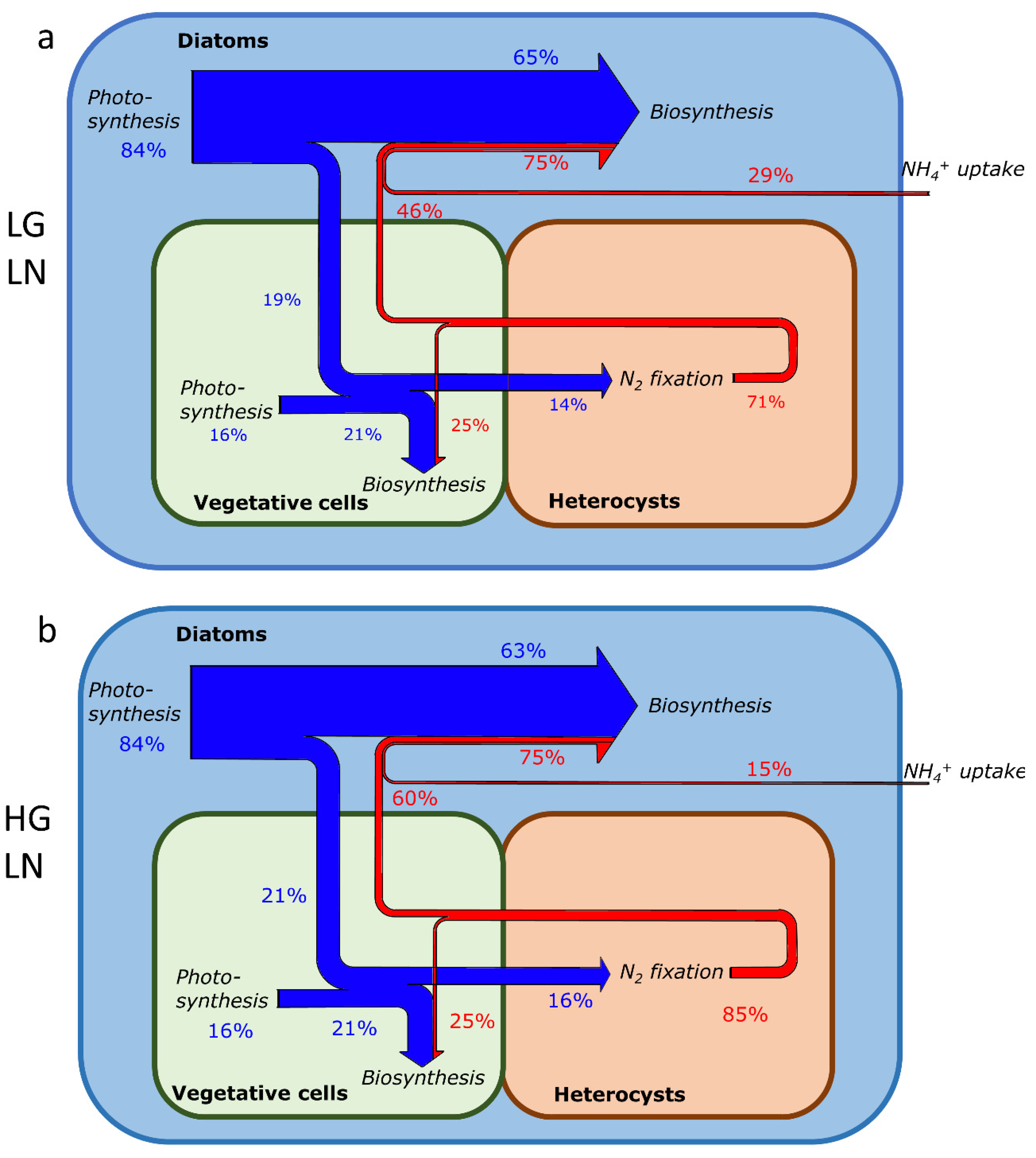 Cells 11 02911 g004a Cells 11 02911 g004a