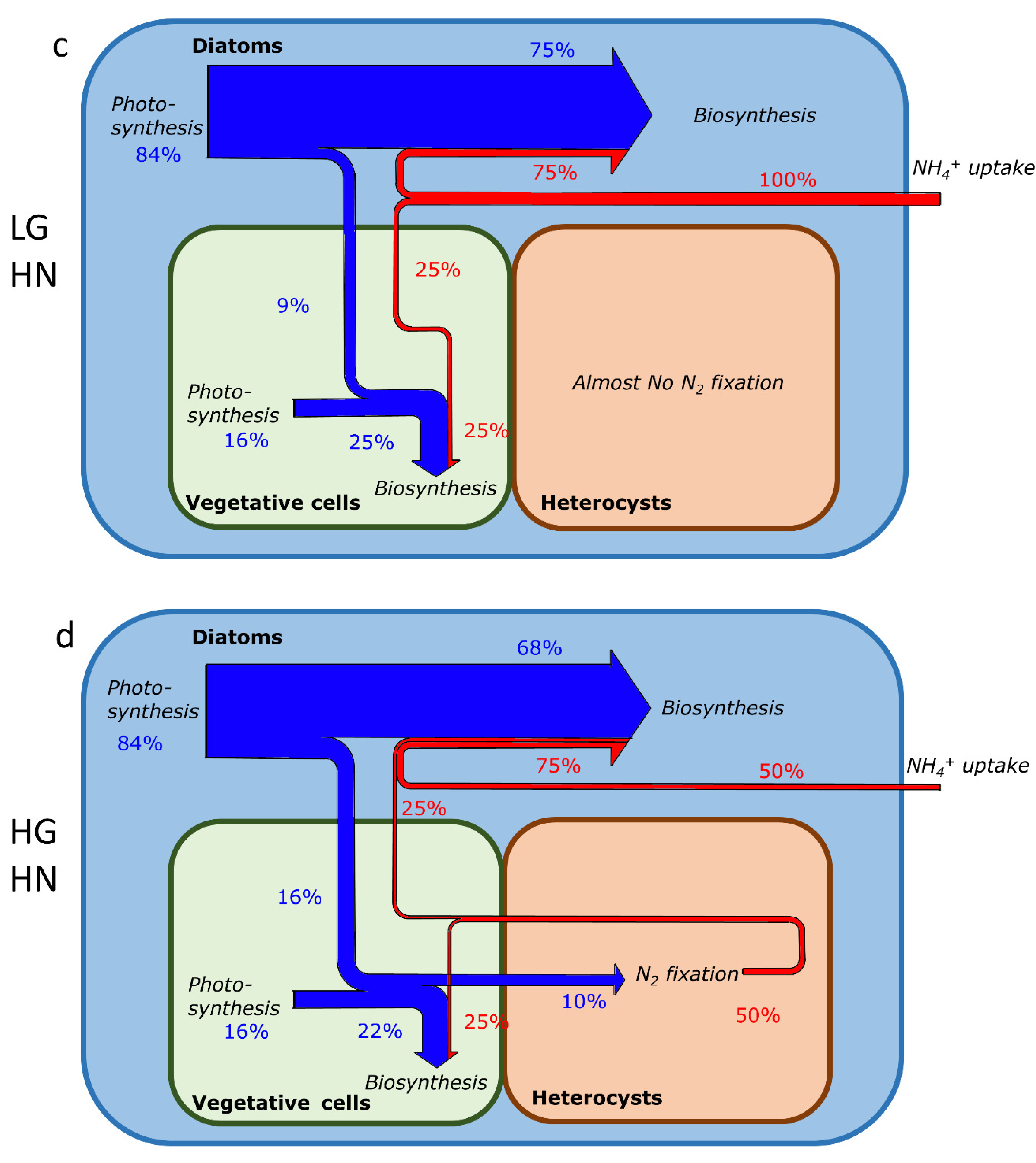 Cells 11 02911 g004b Cells 11 02911 g004b