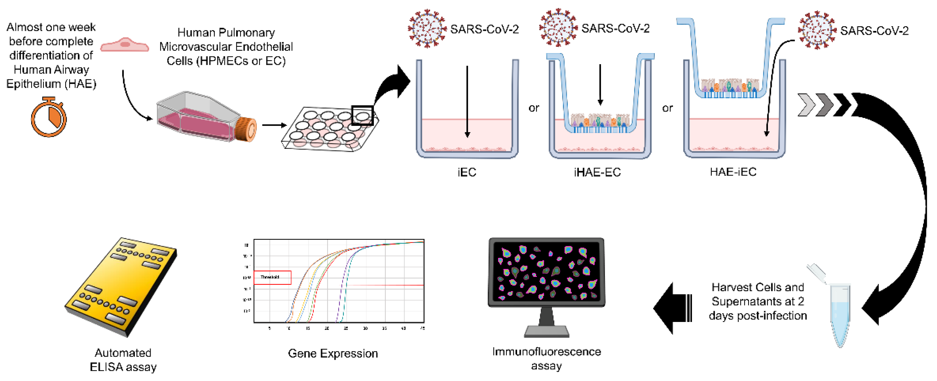 Cells 11 02912 g001