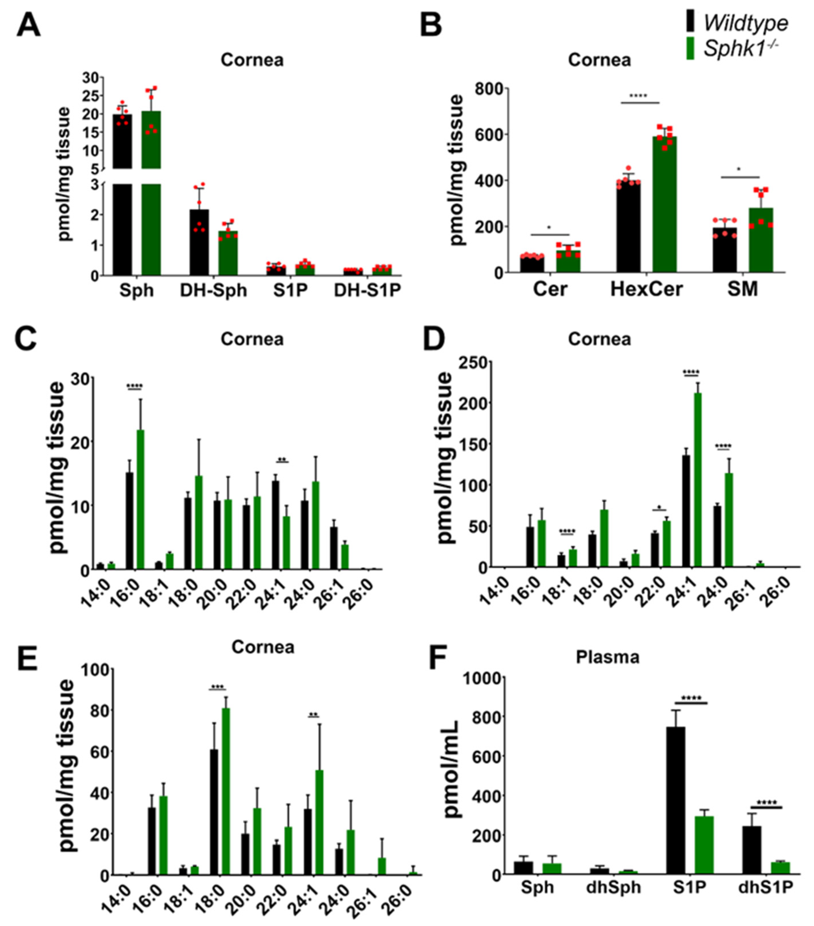 Cells 11 02914 g001 Cells 11 02914 g001