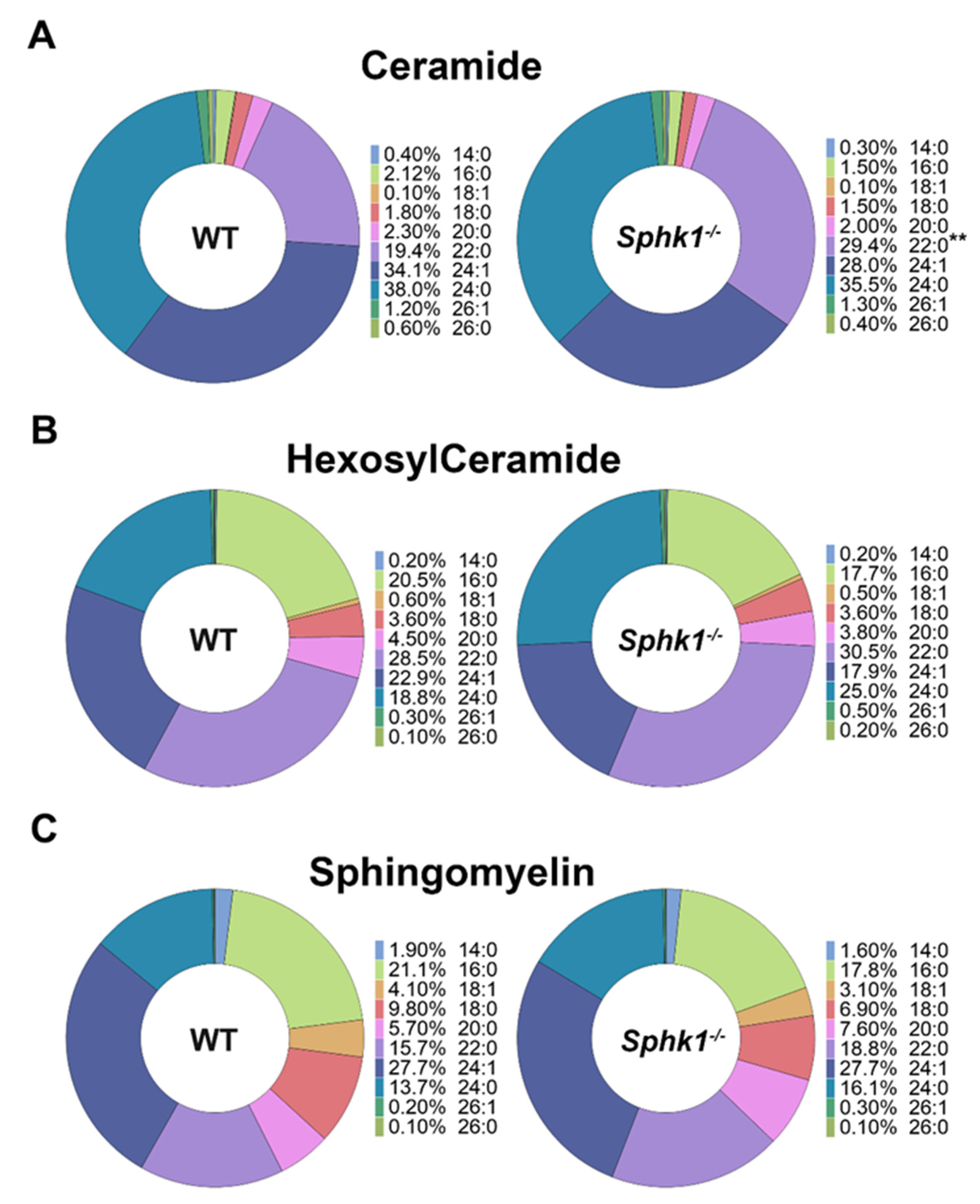 Cells 11 02914 g002 Cells 11 02914 g002