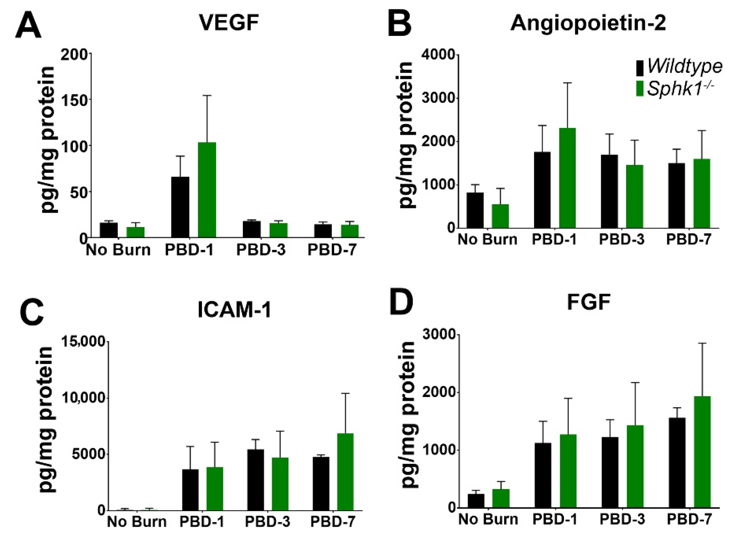 Cells 11 02914 g005 Cells 11 02914 g005