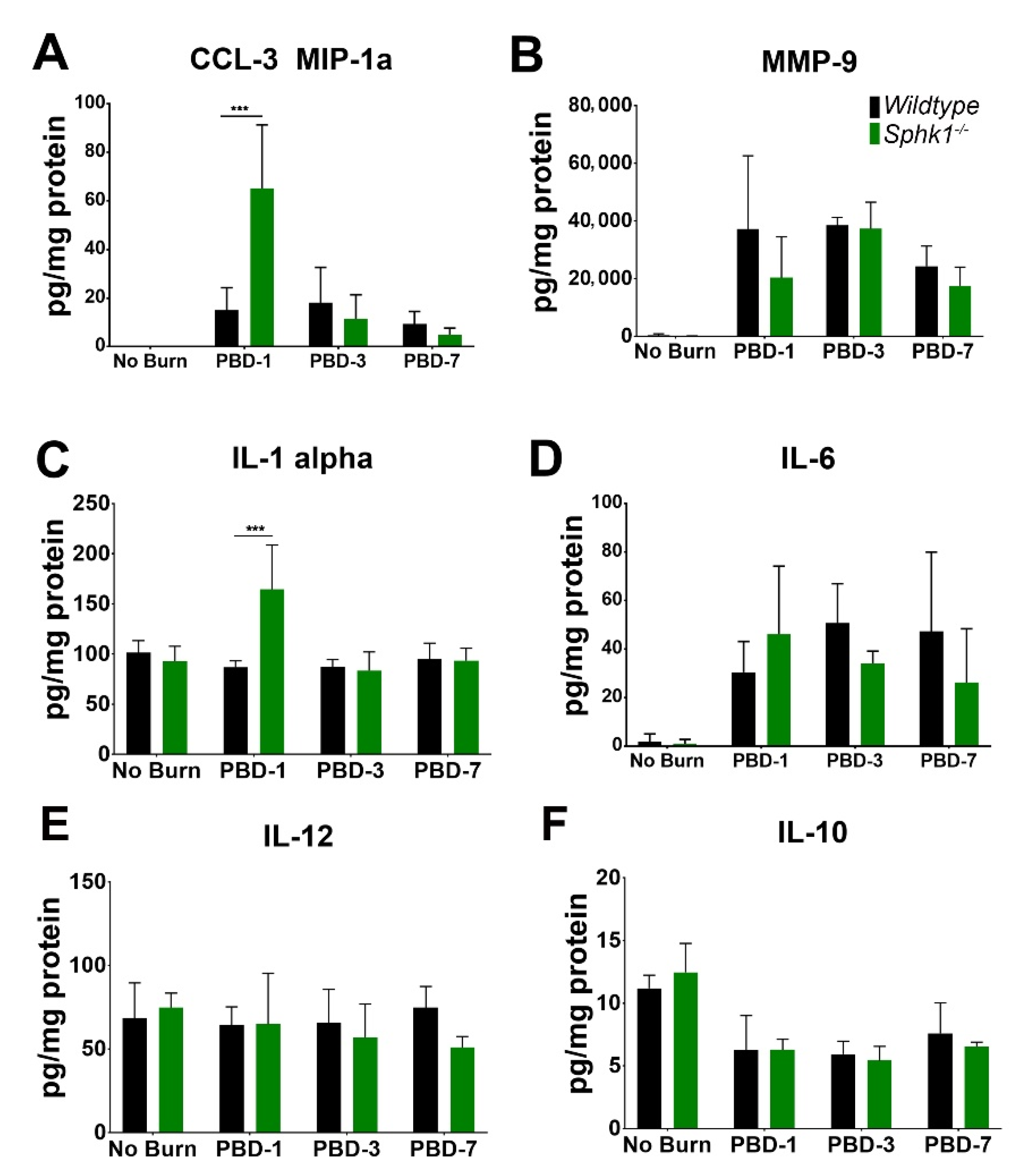 Cells 11 02914 g006 Cells 11 02914 g006