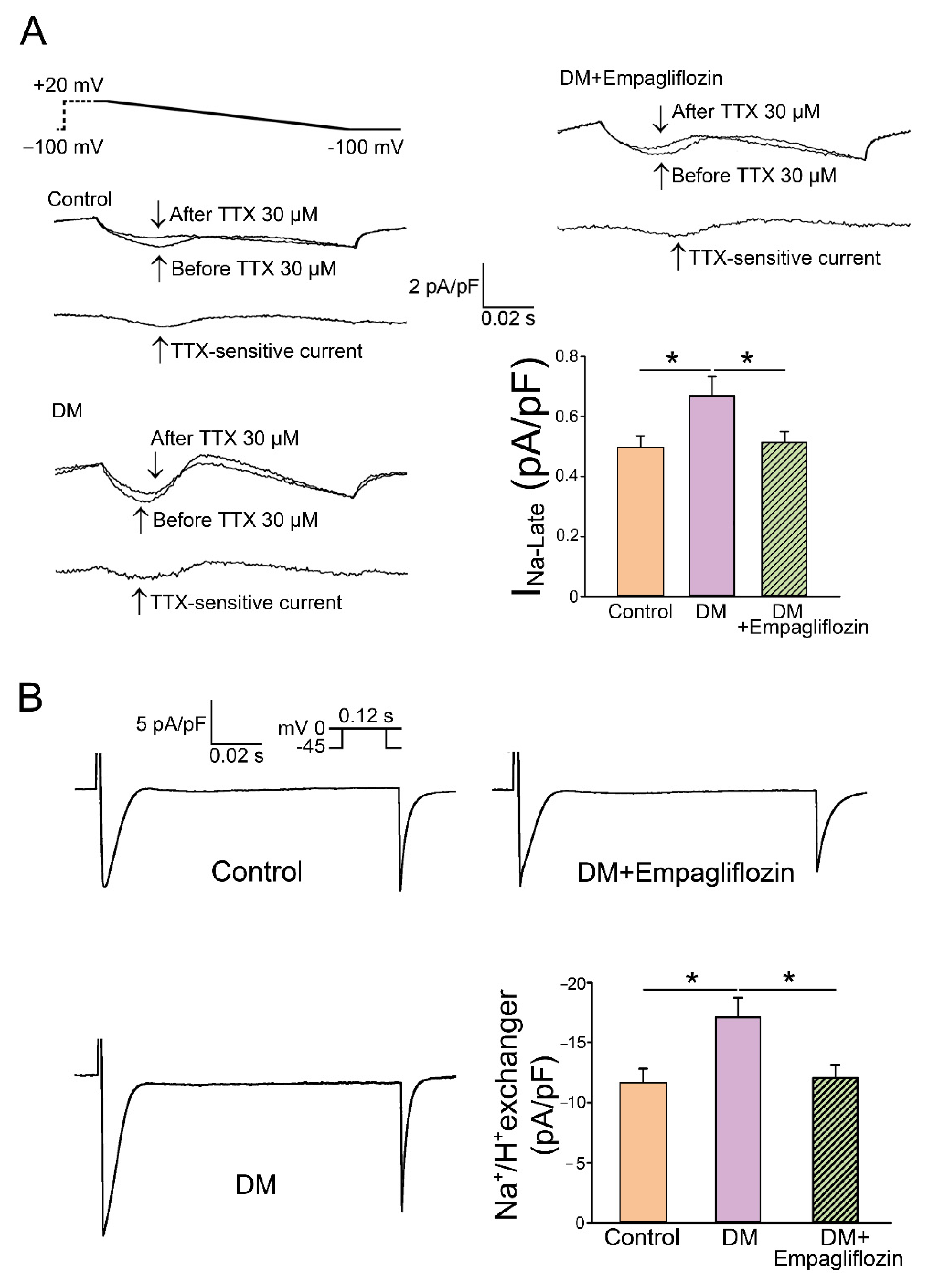 Cells 11 02915 g004 Cells 11 02915 g004