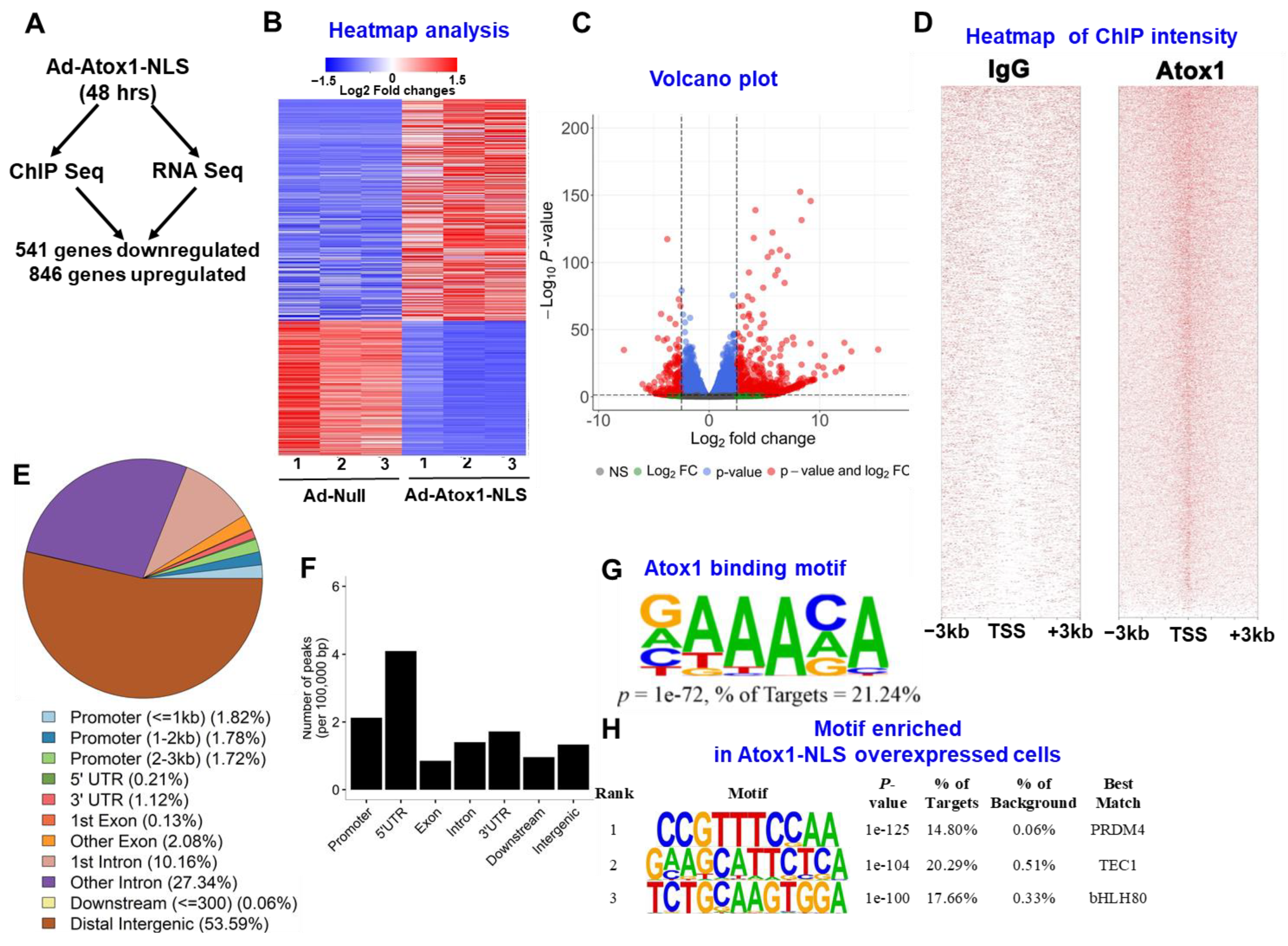 Cells 11 02919 g003 Cells 11 02919 g003