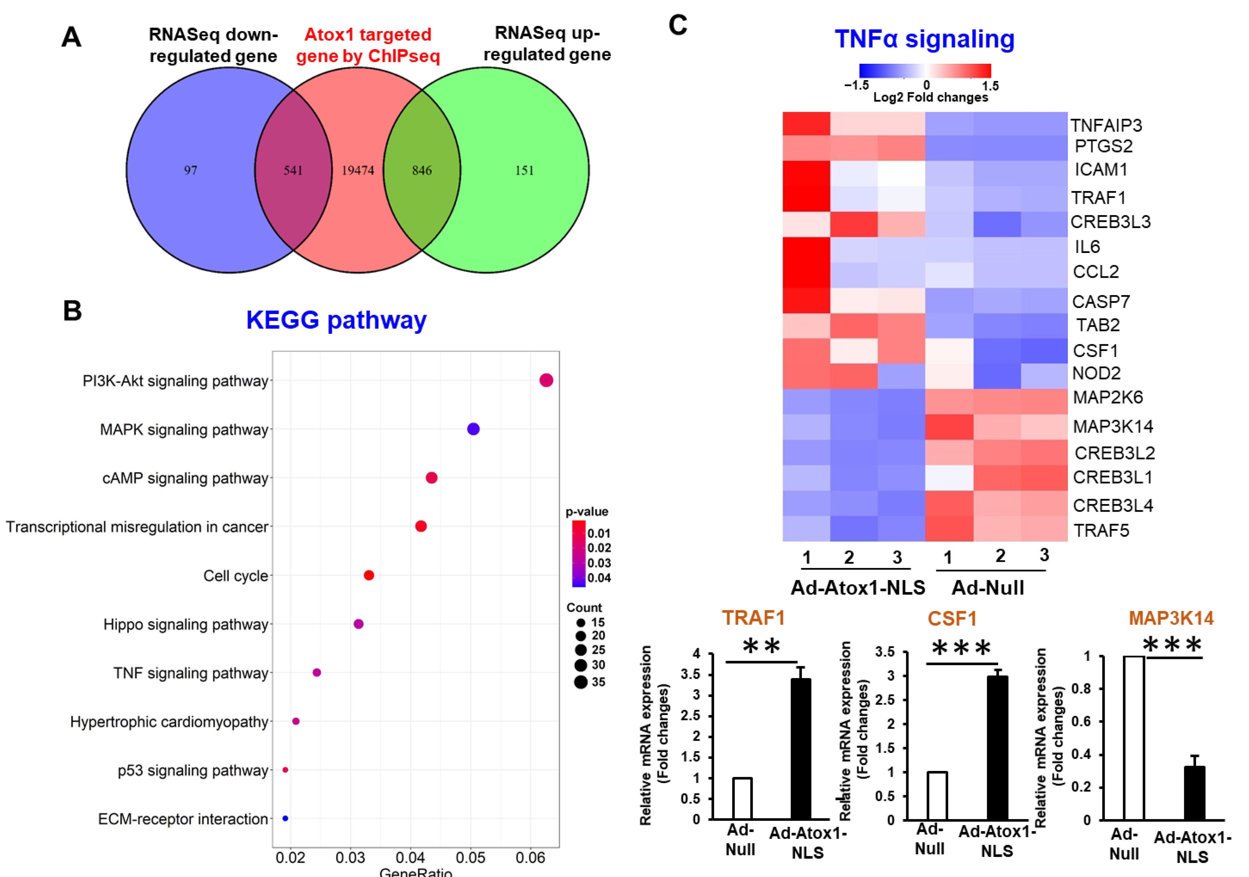 Cells 11 02919 g004 Cells 11 02919 g004