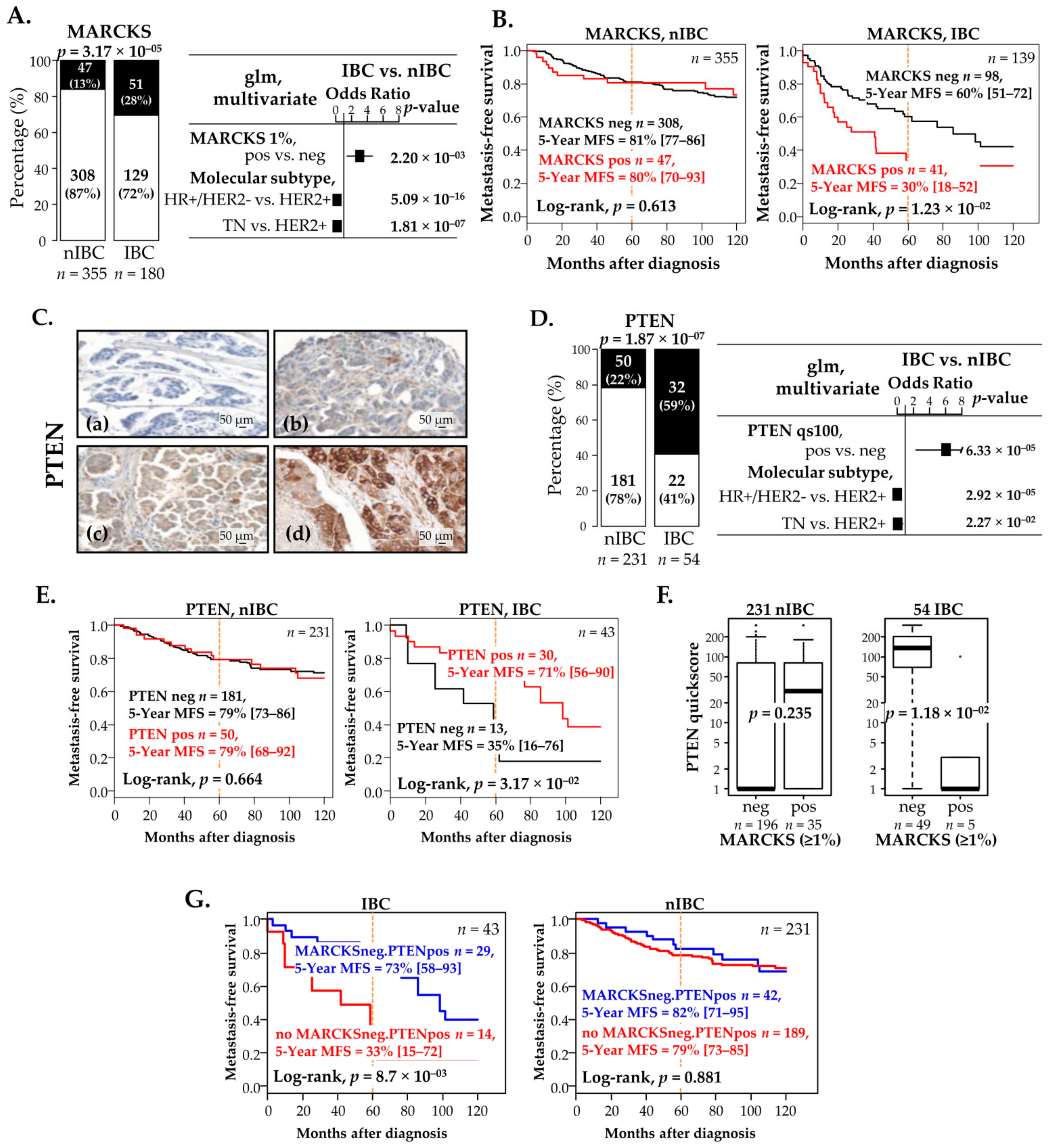 Cells 11 02926 g003 Cells 11 02926 g003