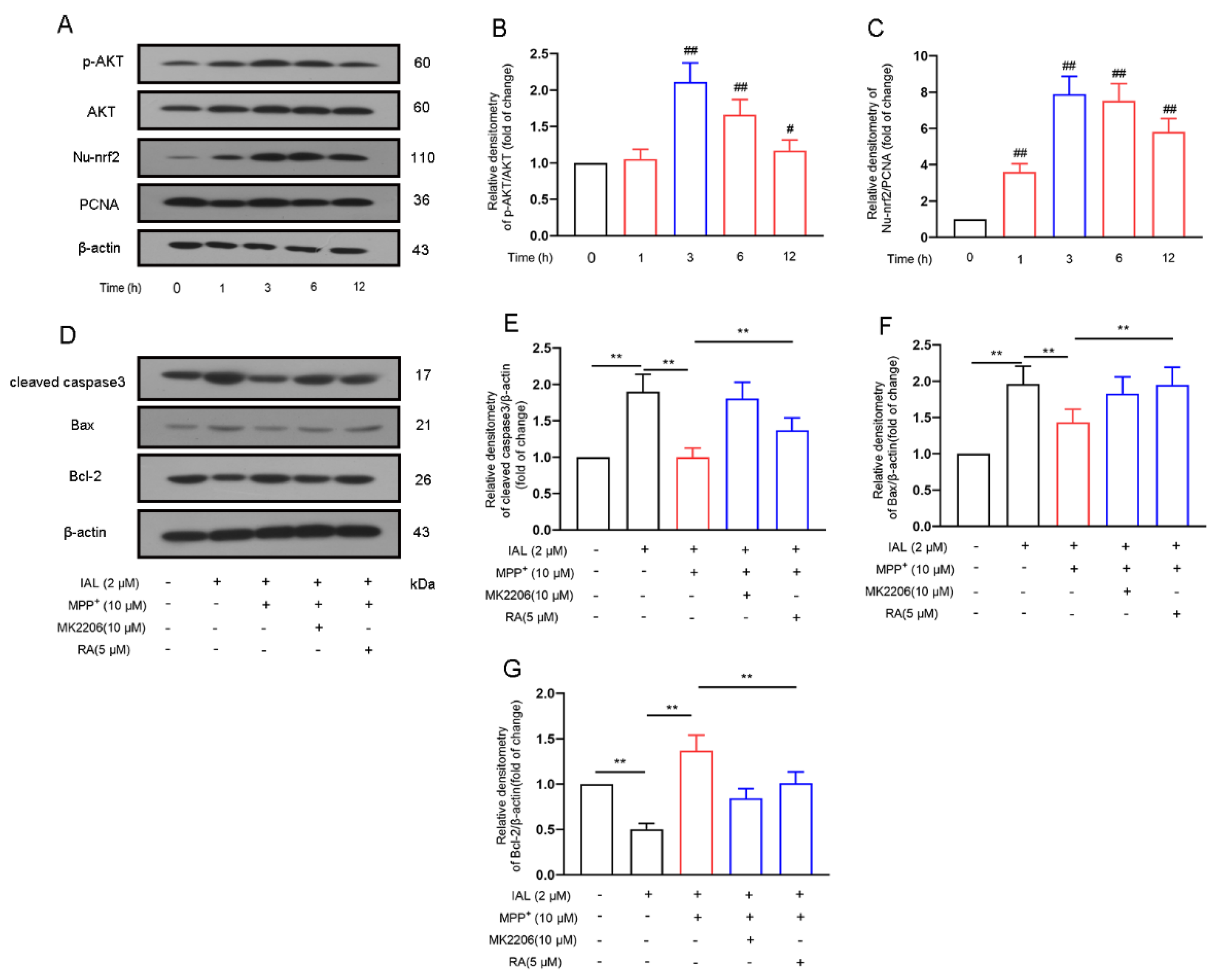 Cells 11 02927 g005 Cells 11 02927 g005
