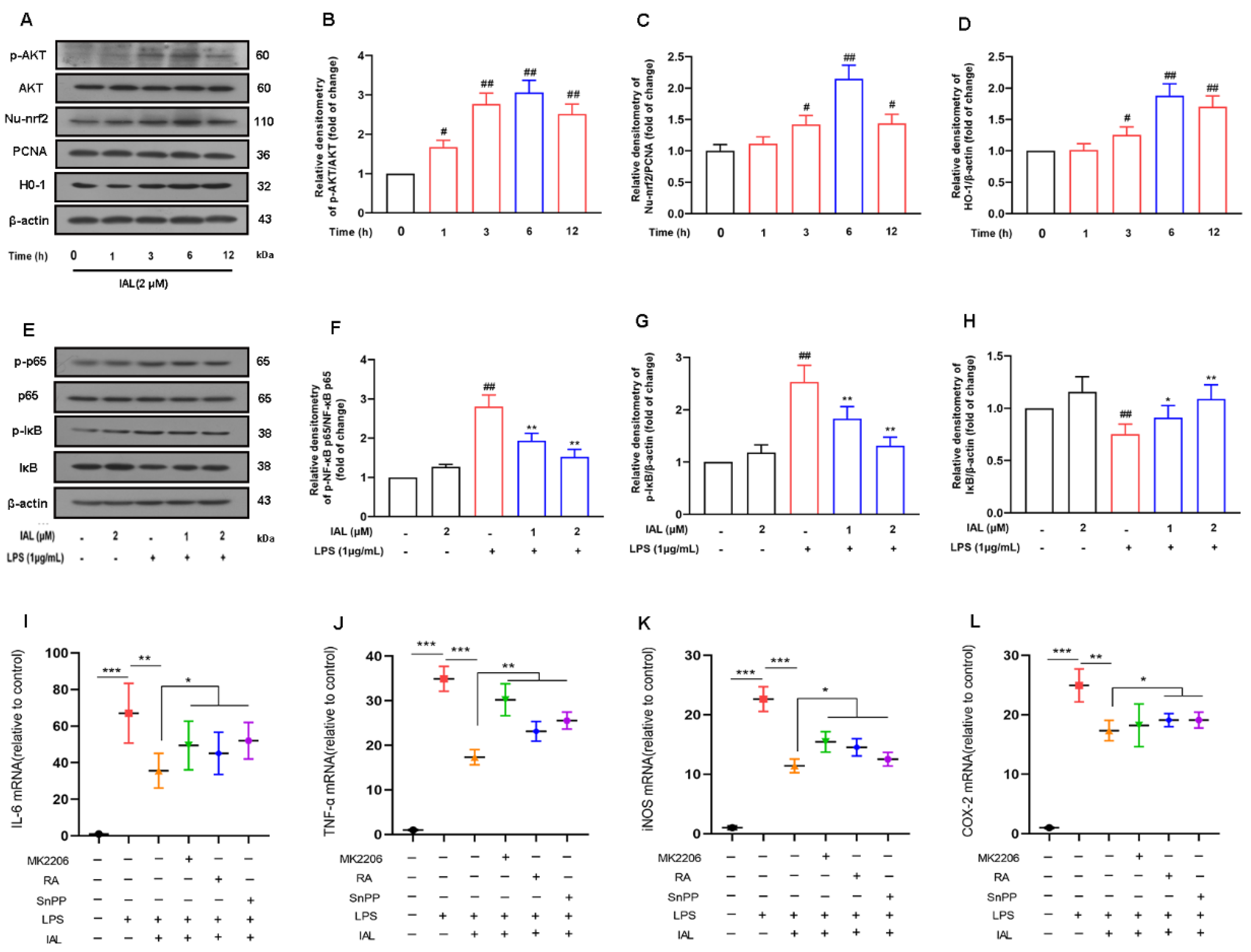 Cells 11 02927 g007 Cells 11 02927 g007