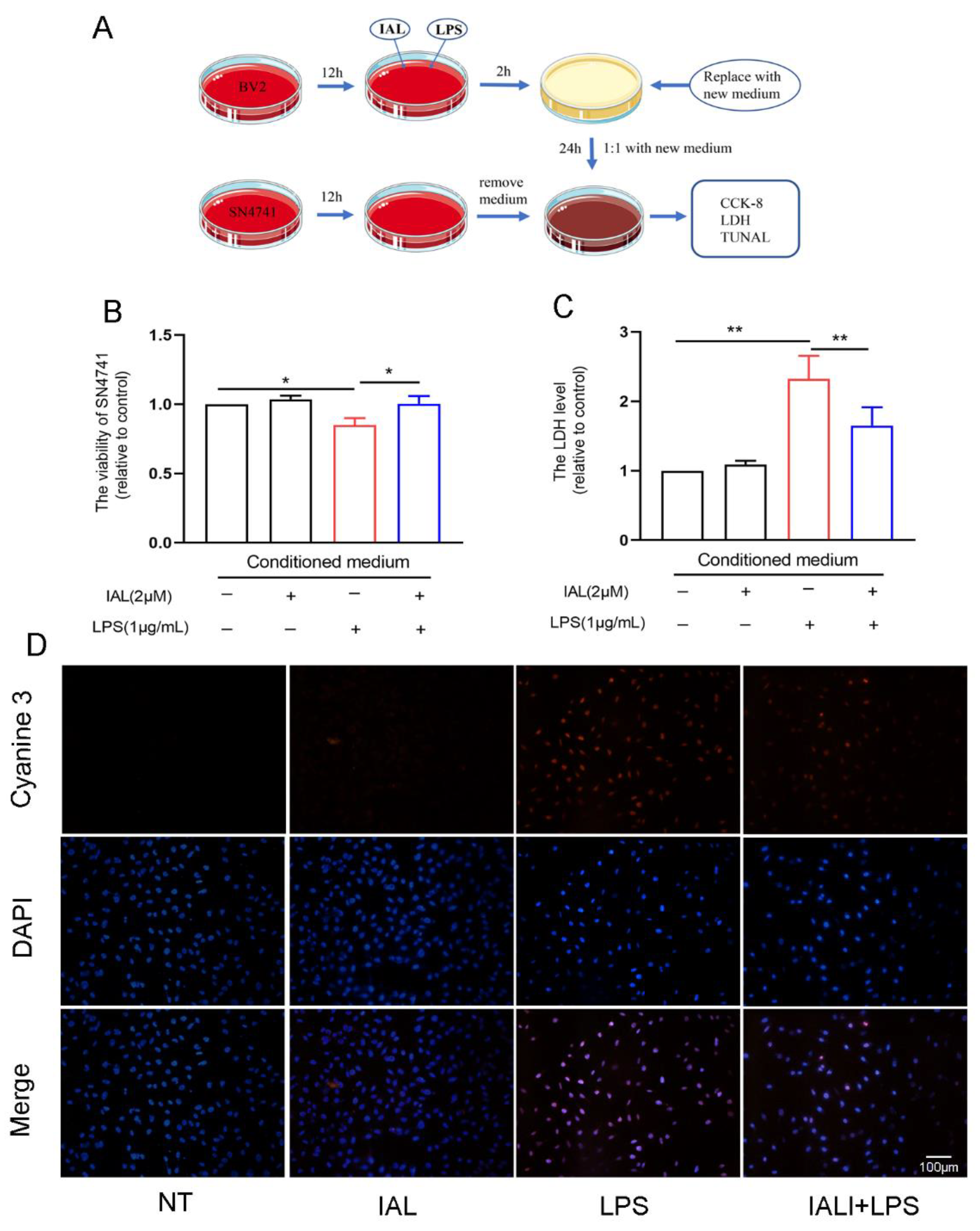 Cells 11 02927 g008 Cells 11 02927 g008