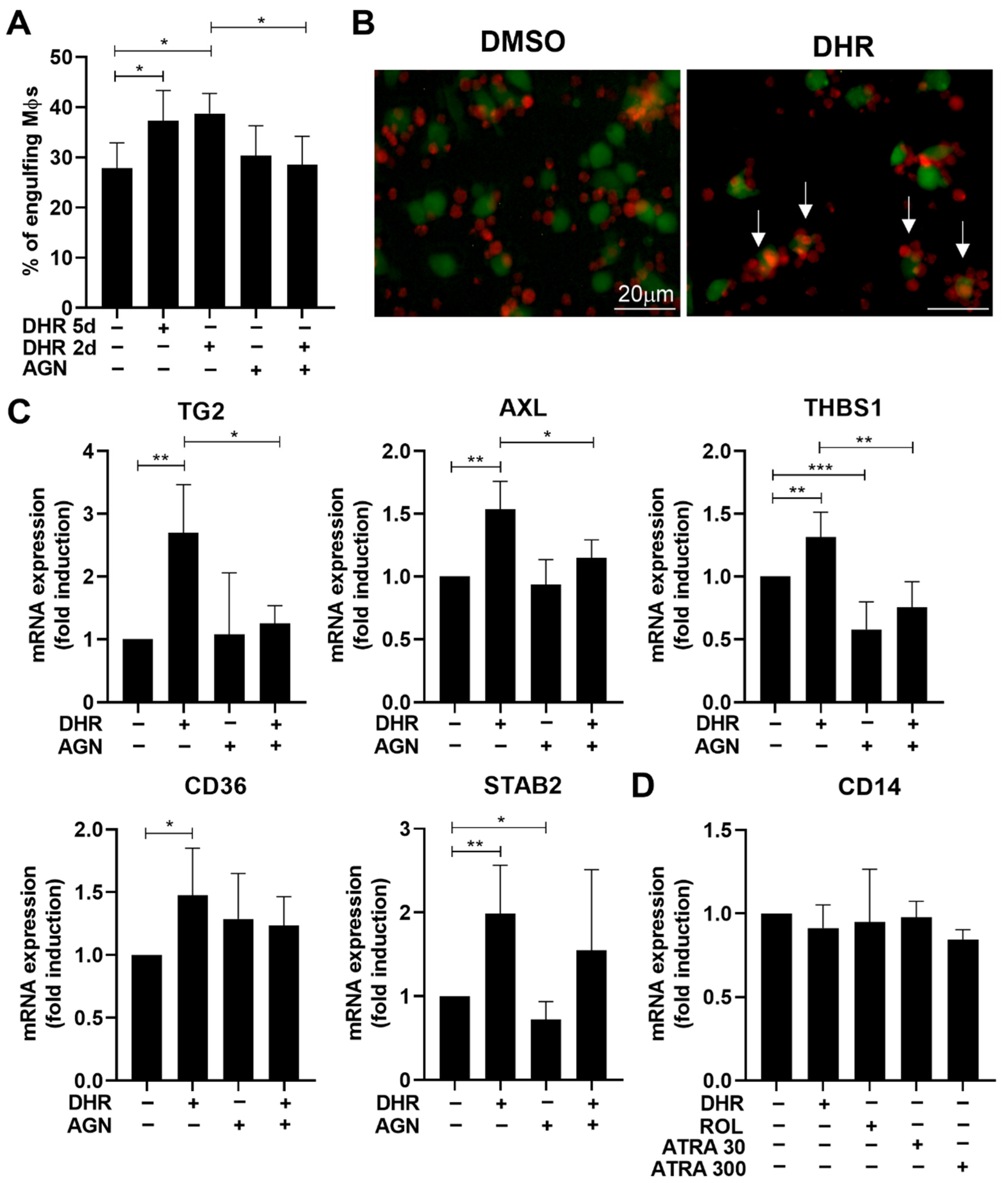 Cells 11 02928 g001 Cells 11 02928 g001