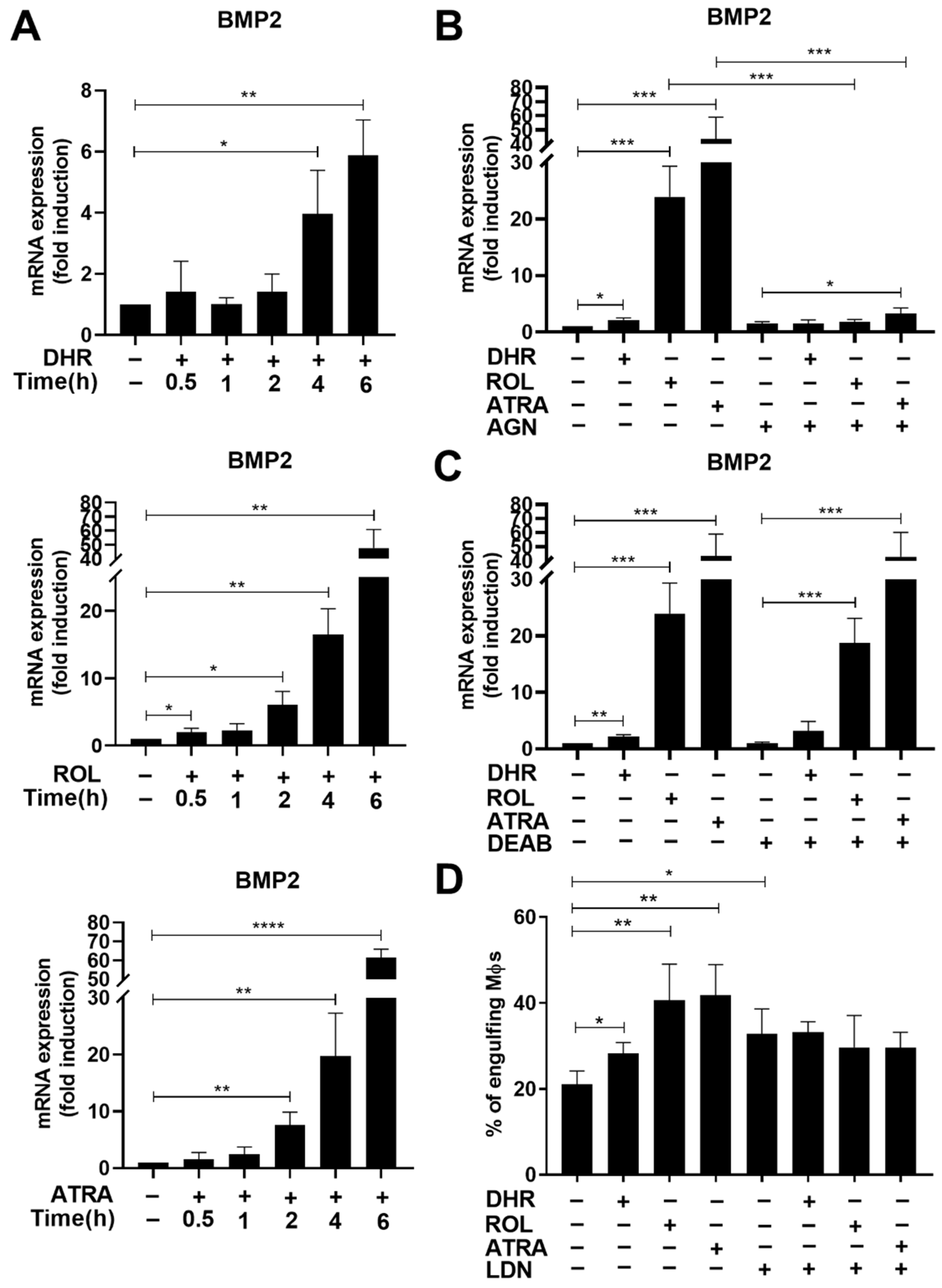 Cells 11 02928 g003 Cells 11 02928 g003