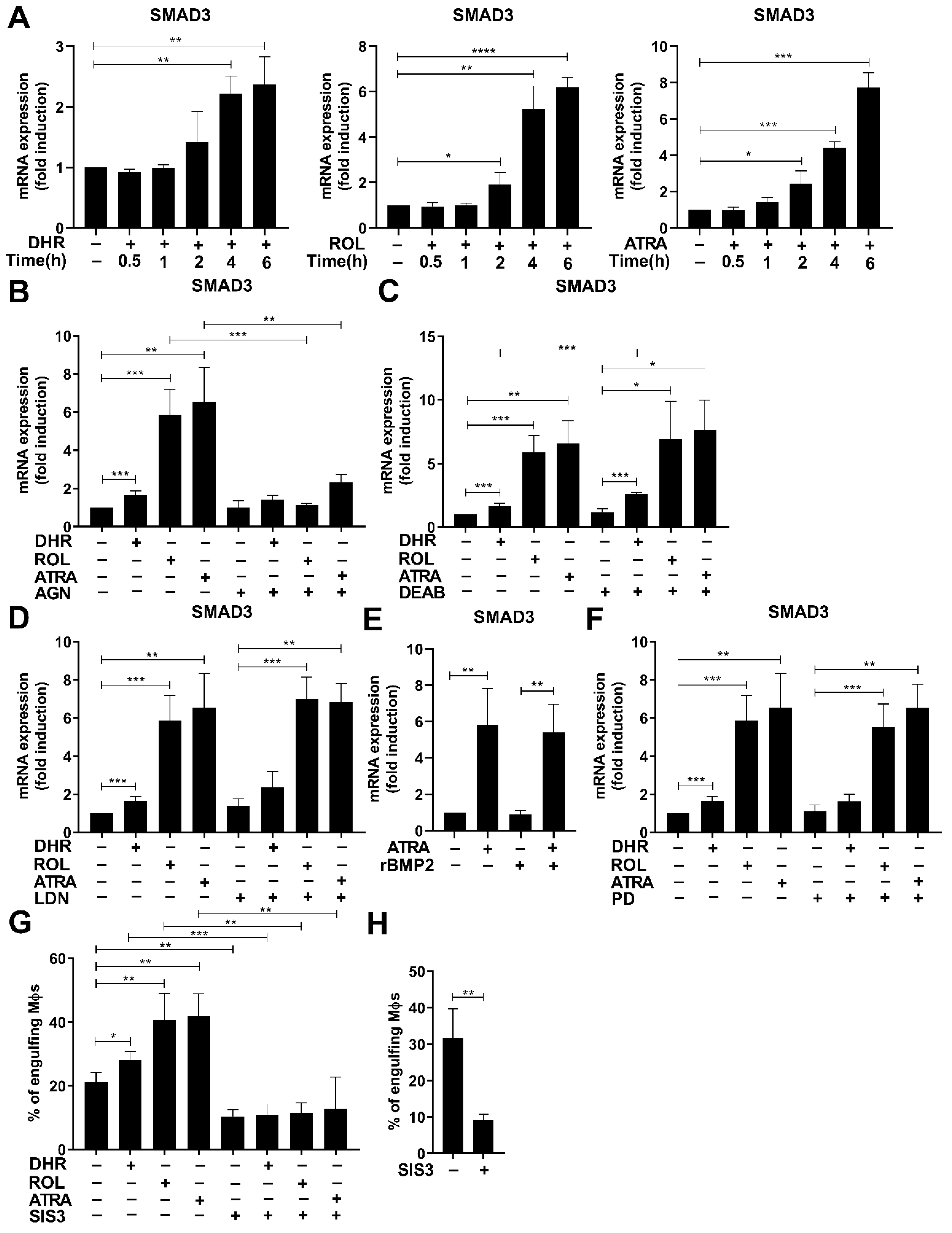 Cells 11 02928 g004 Cells 11 02928 g004