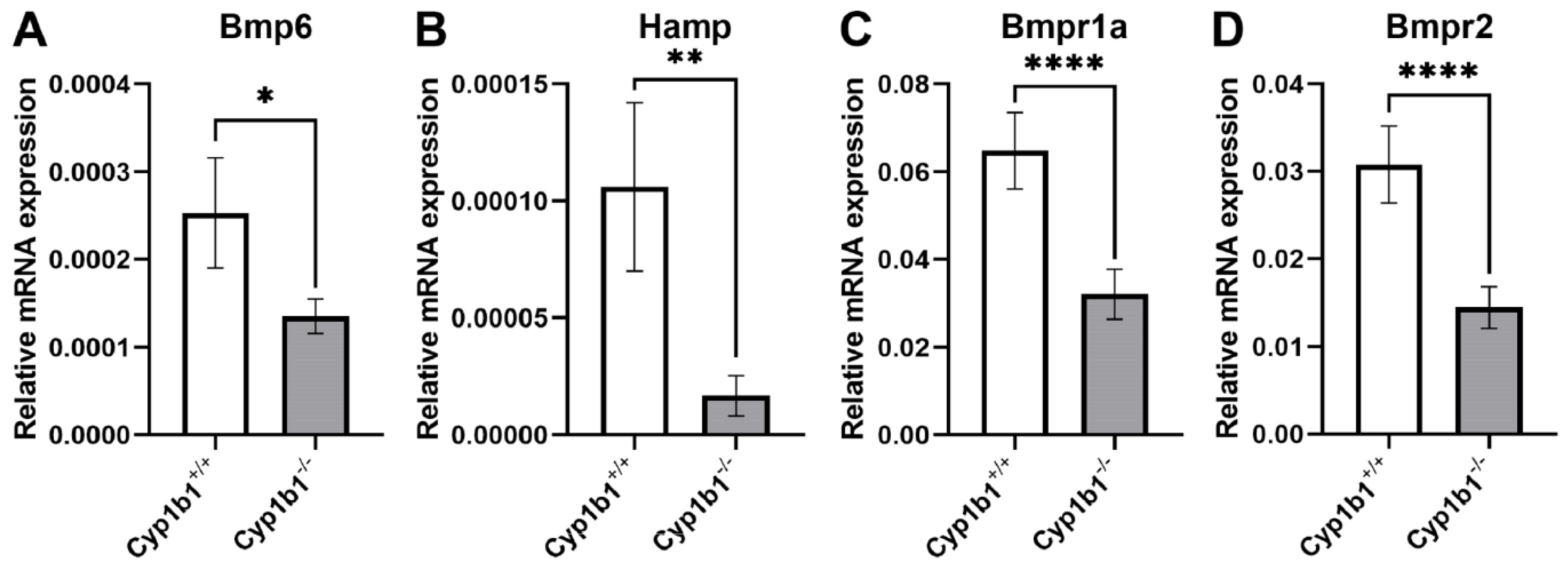 Cells 11 02930 g004 Cells 11 02930 g004