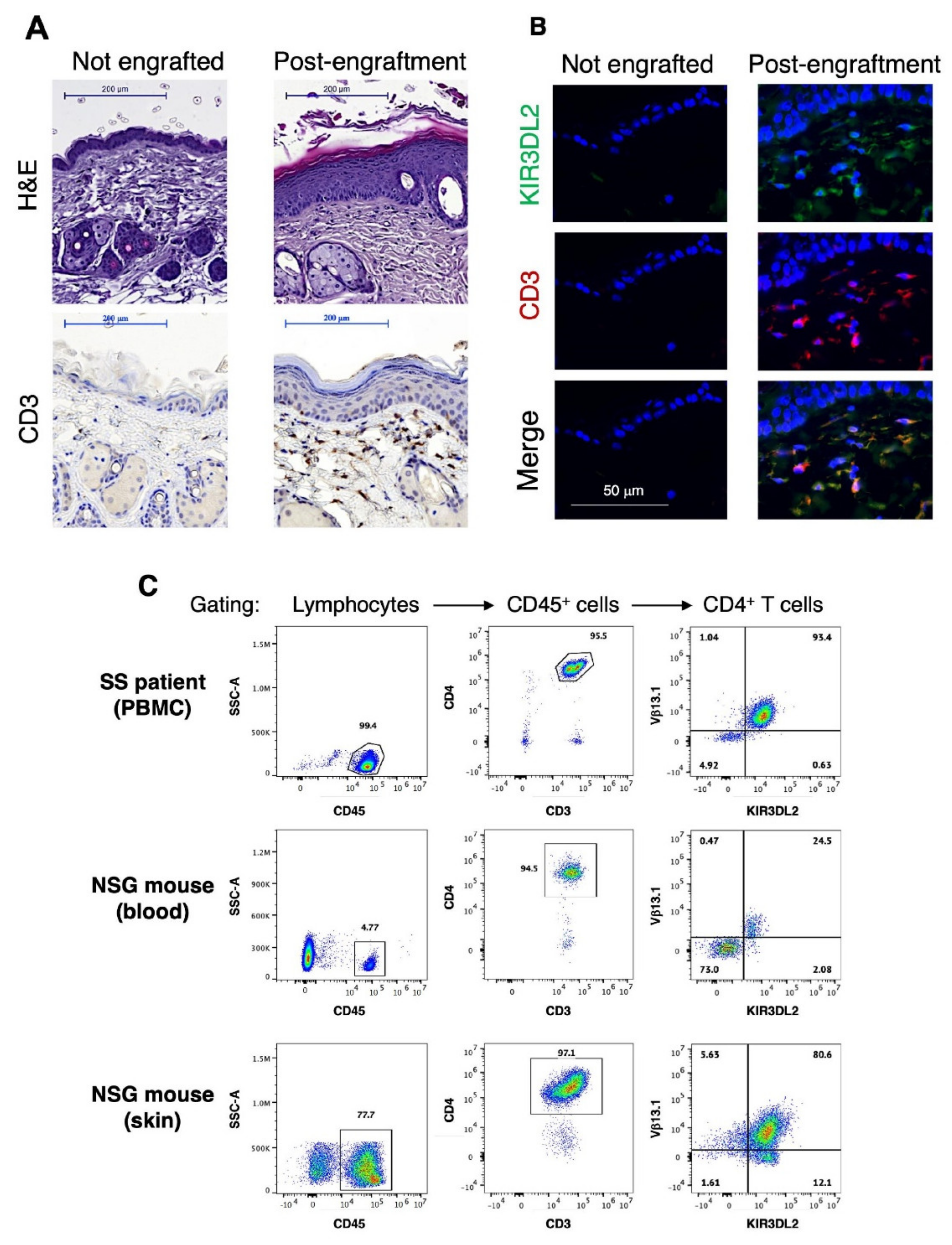 Cells 11 02933 g001 Cells 11 02933 g001