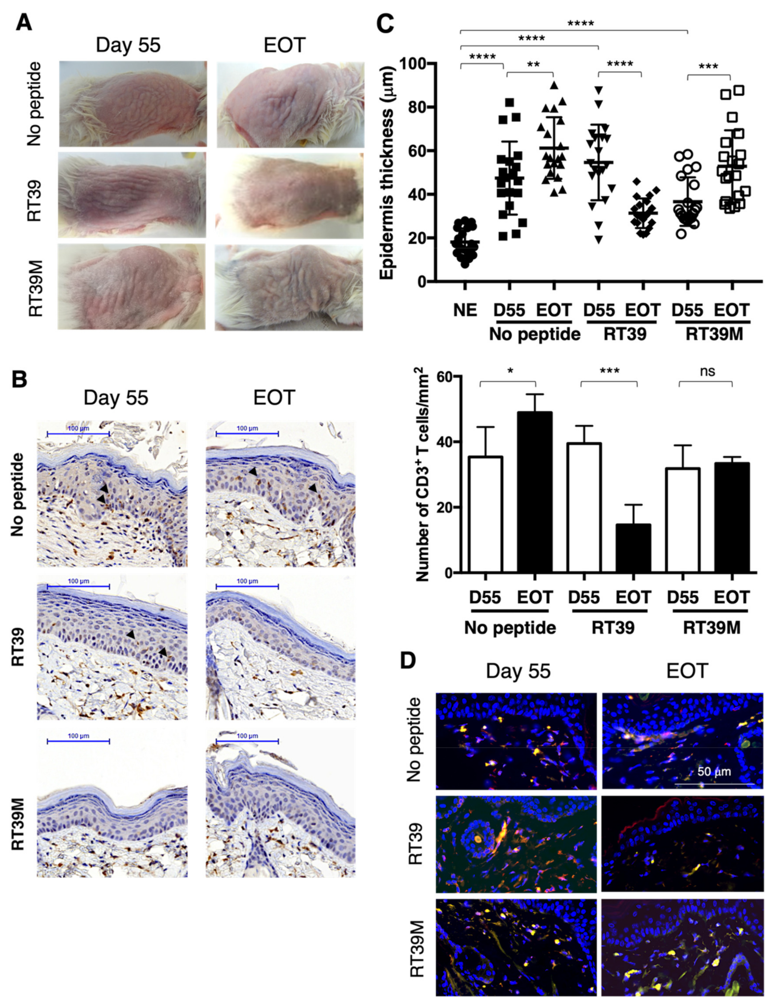 Cells 11 02933 g002 Cells 11 02933 g002