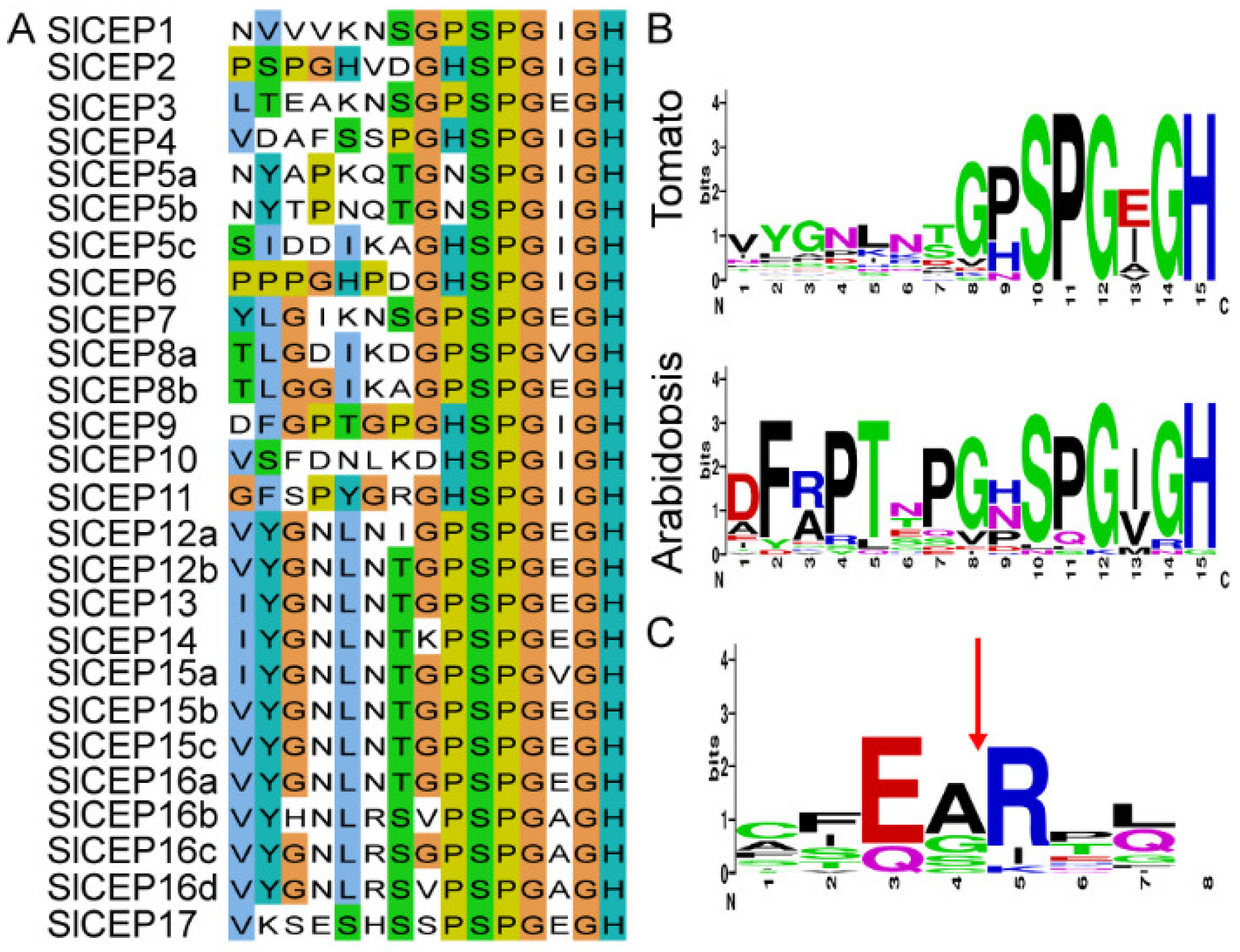 Cells 11 02935 g001 Cells 11 02935 g001