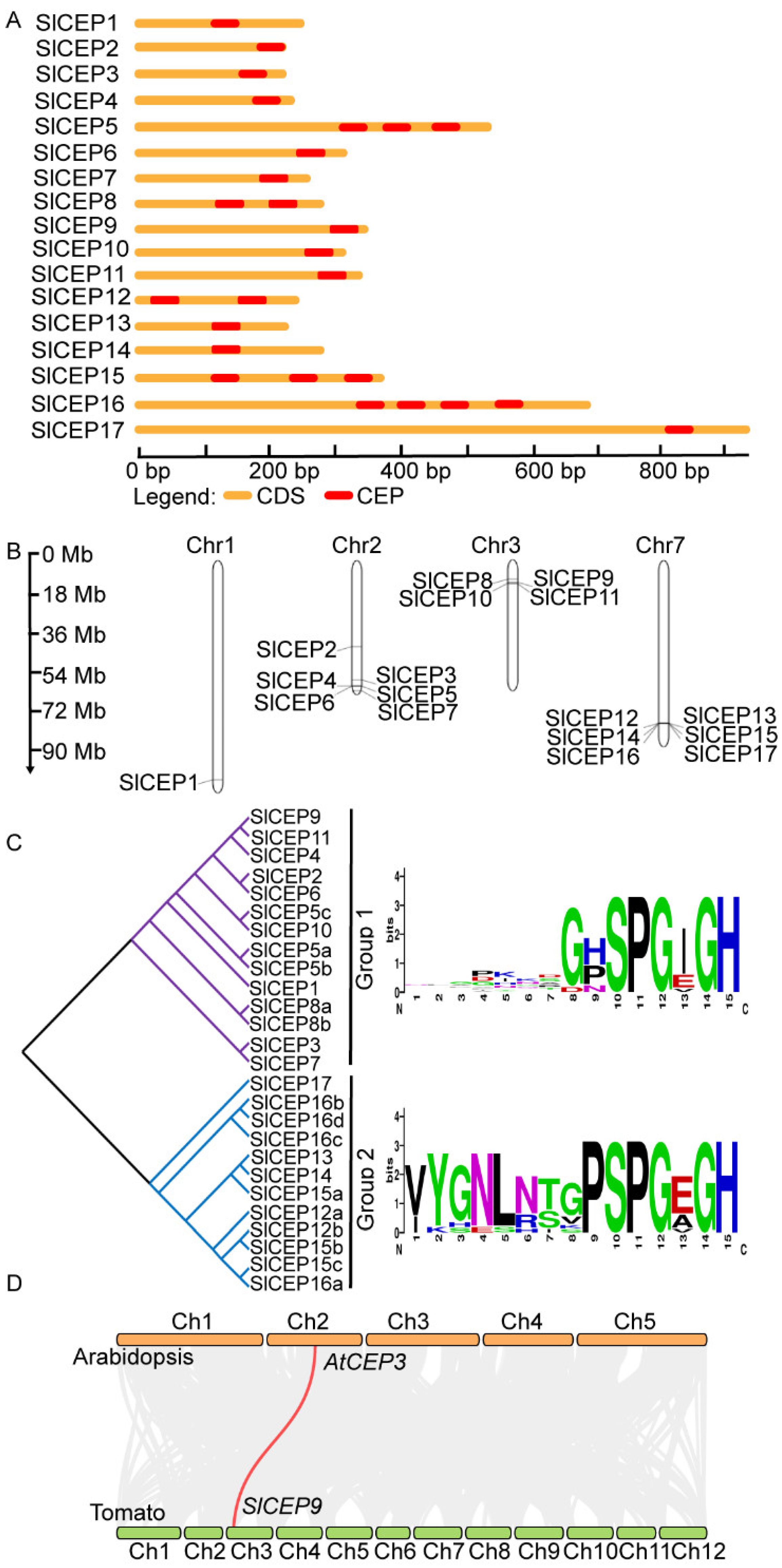 Cells 11 02935 g002 Cells 11 02935 g002