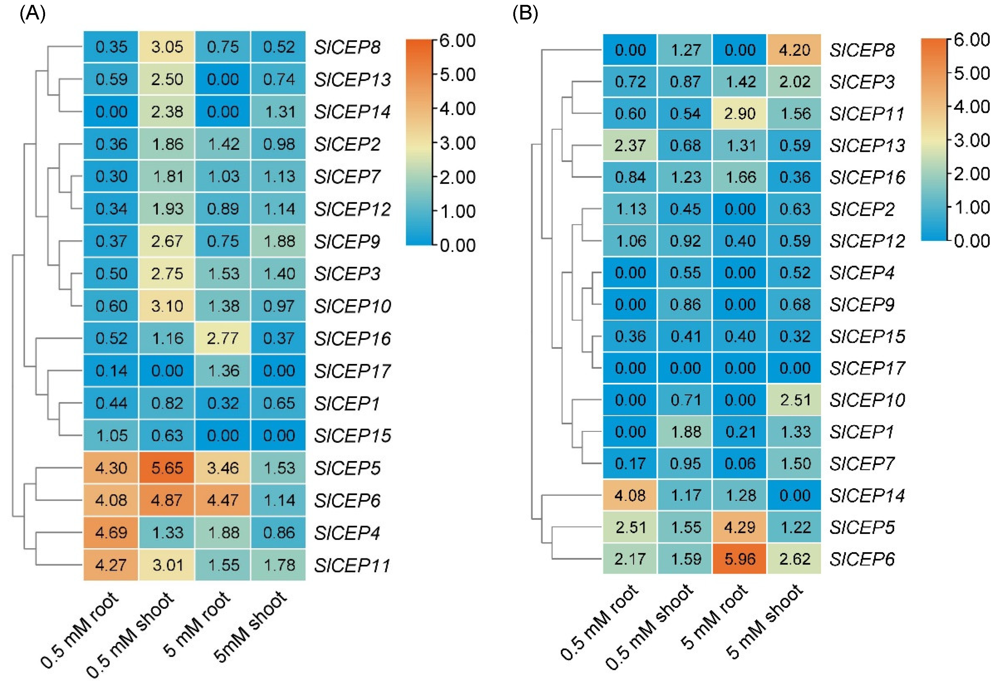Cells 11 02935 g003 Cells 11 02935 g003