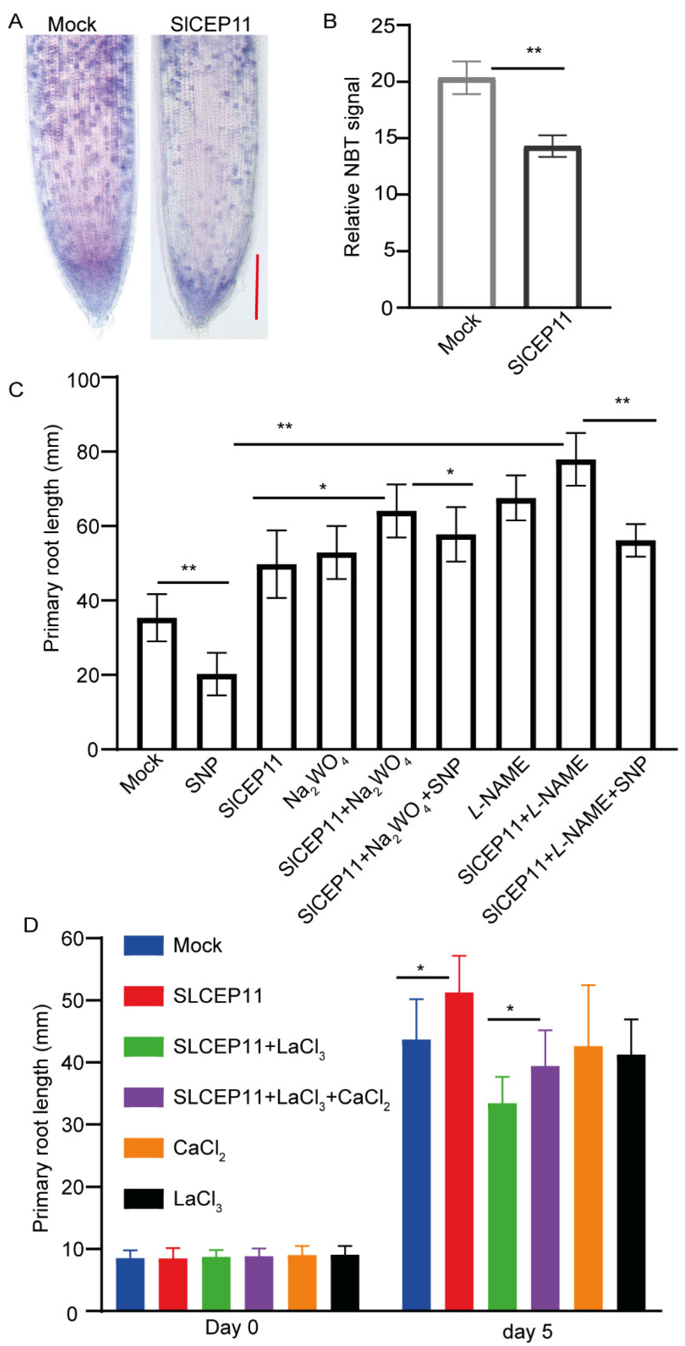 Cells 11 02935 g005 Cells 11 02935 g005