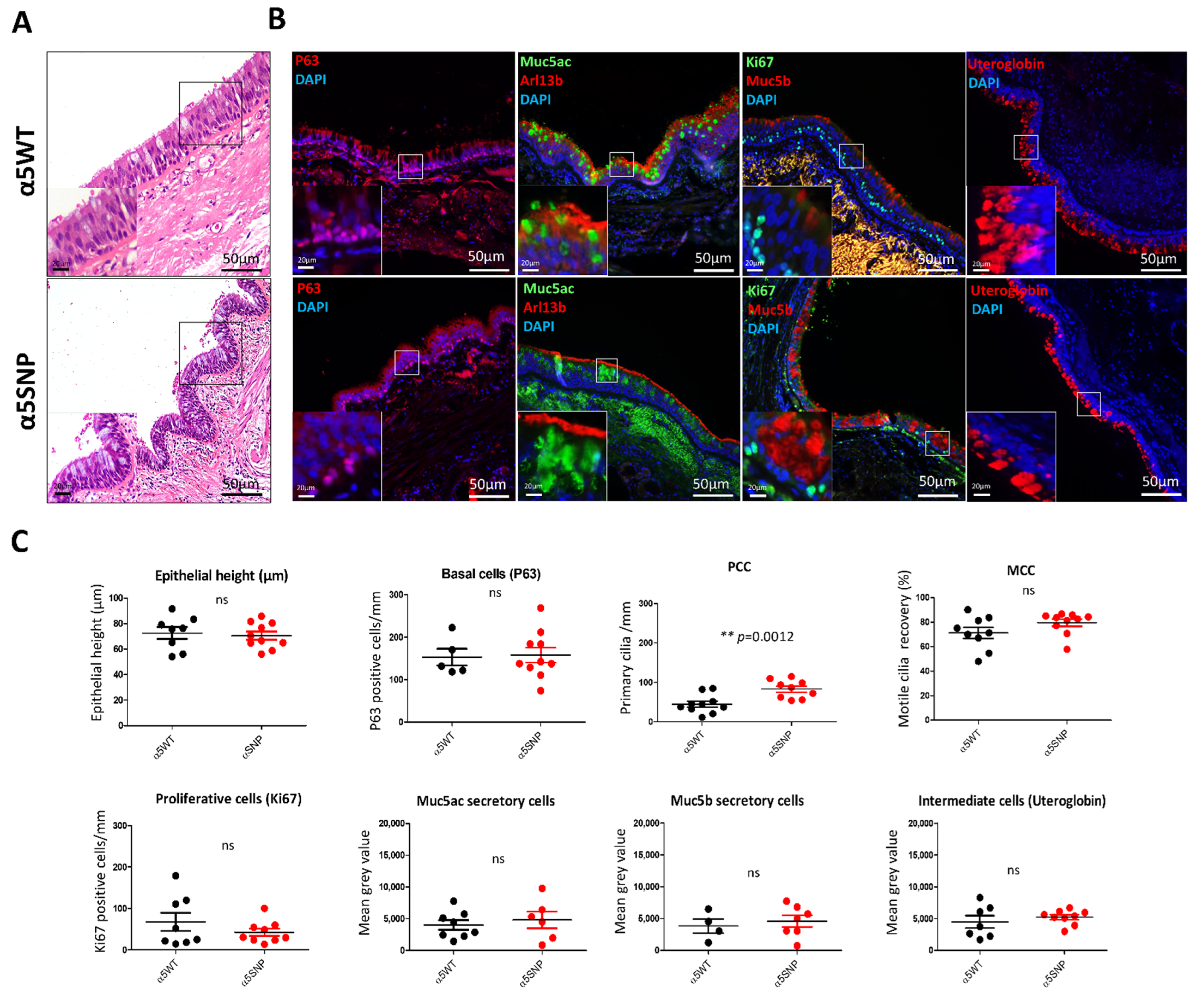 Cells 11 02937 g001 Cells 11 02937 g001
