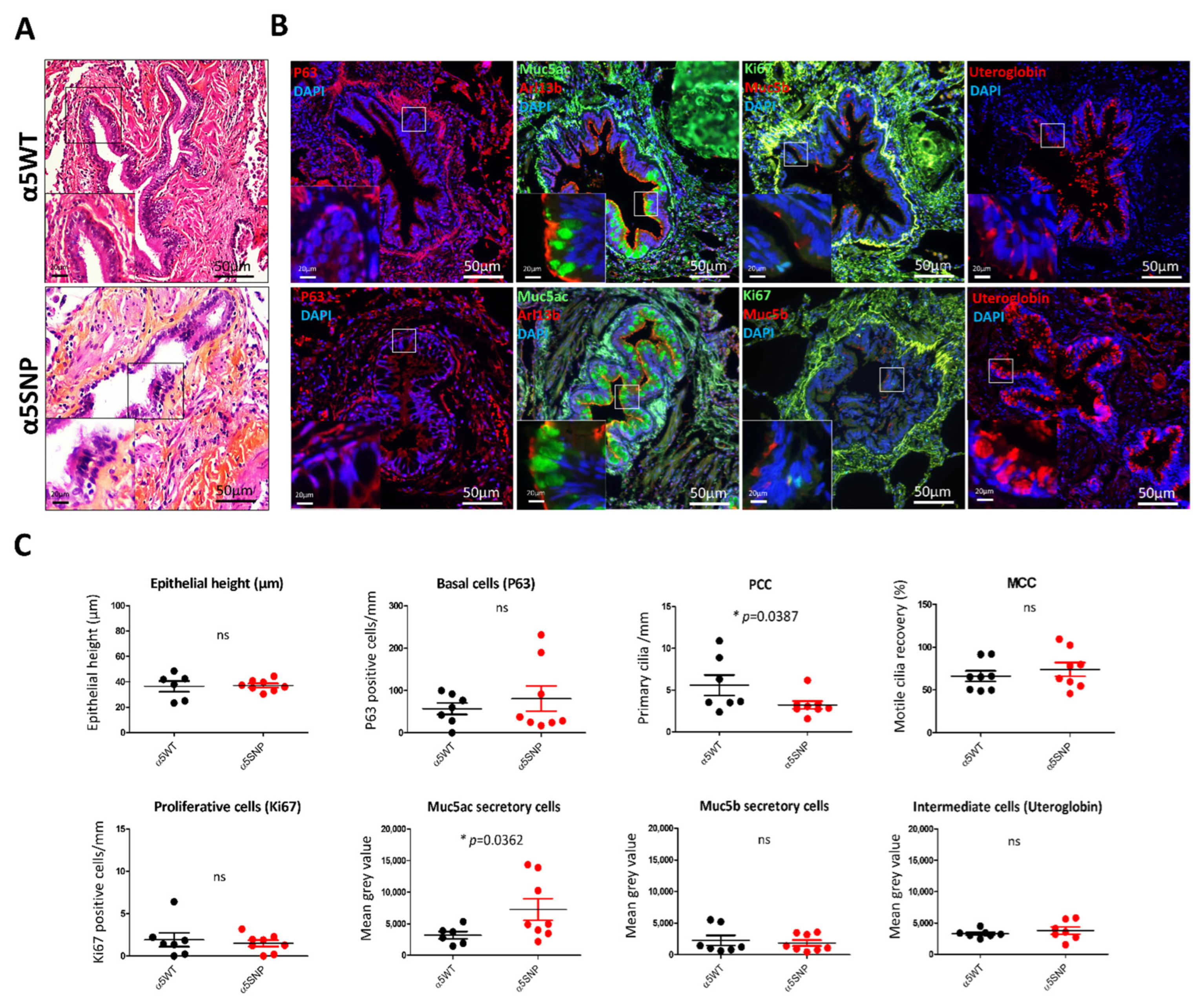 Cells 11 02937 g002 Cells 11 02937 g002