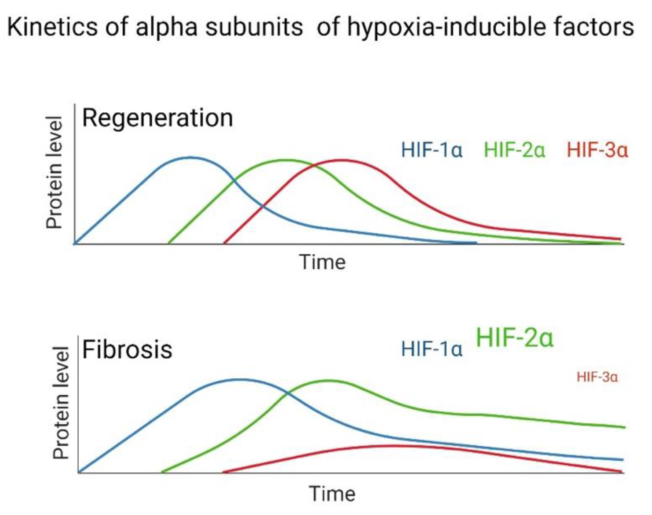 Cells 11 02938 g004 Cells 11 02938 g004