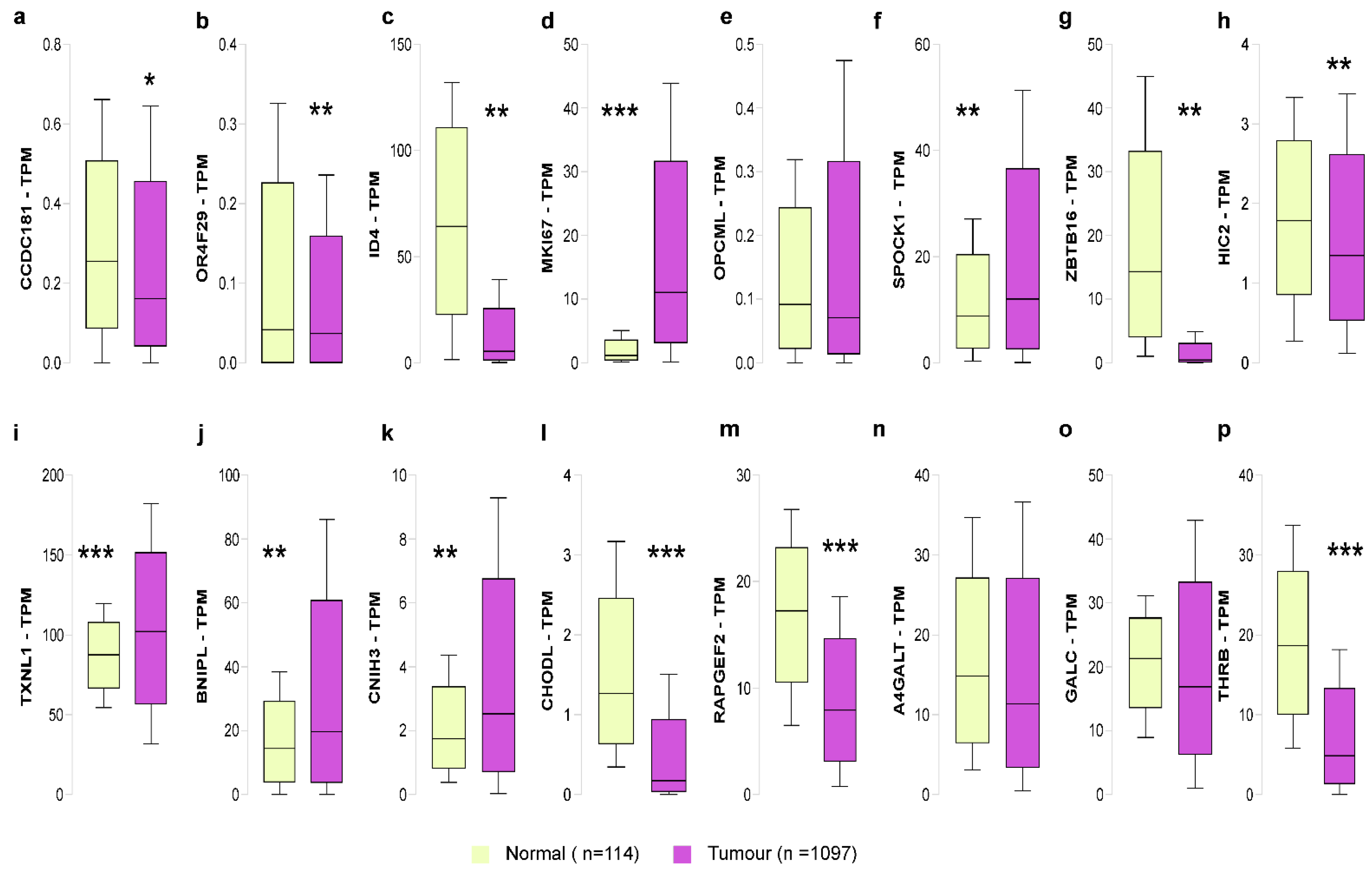 Cells 11 02939 g004 Cells 11 02939 g004