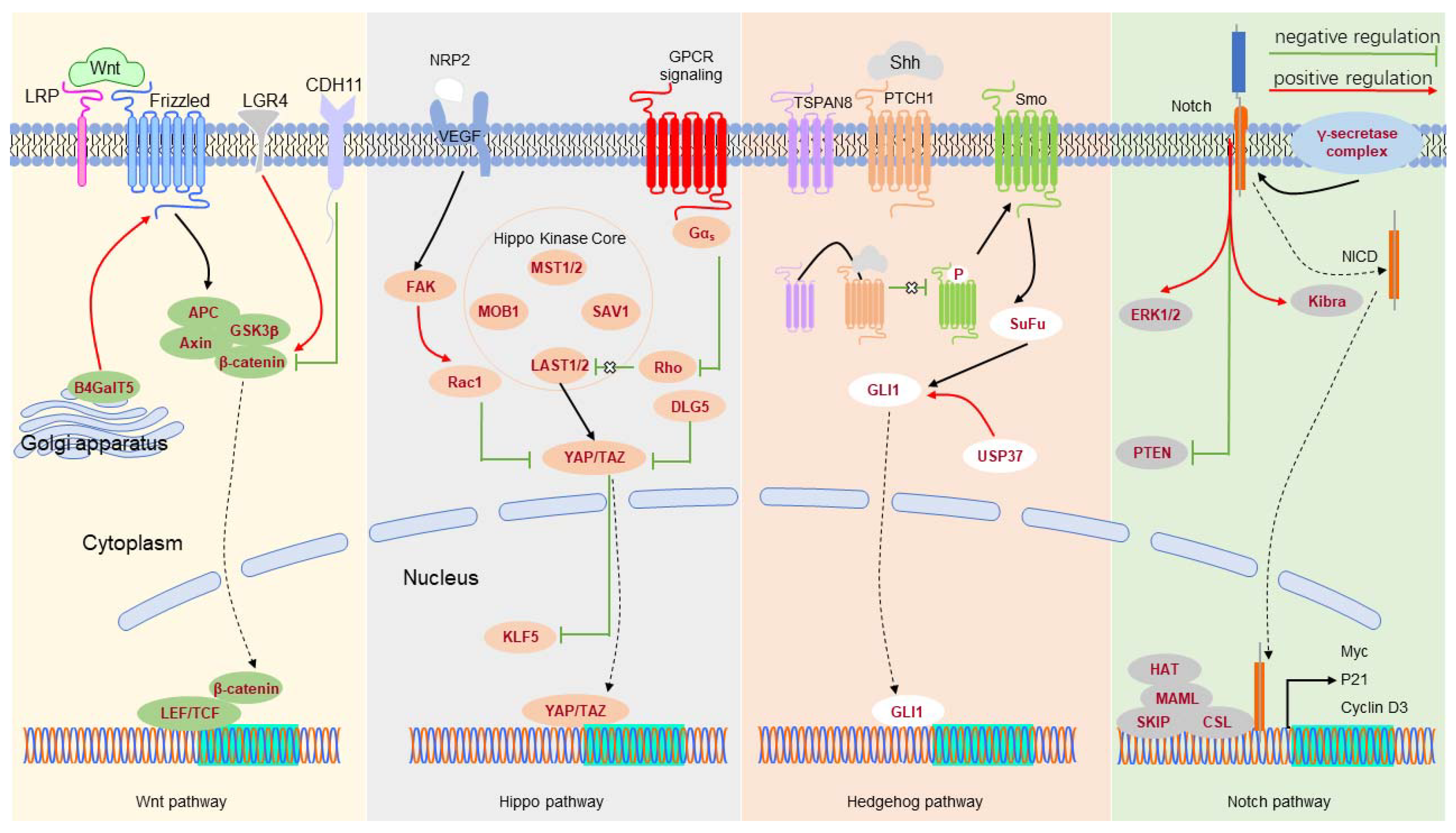 Cells 11 02941 g001 Cells 11 02941 g001