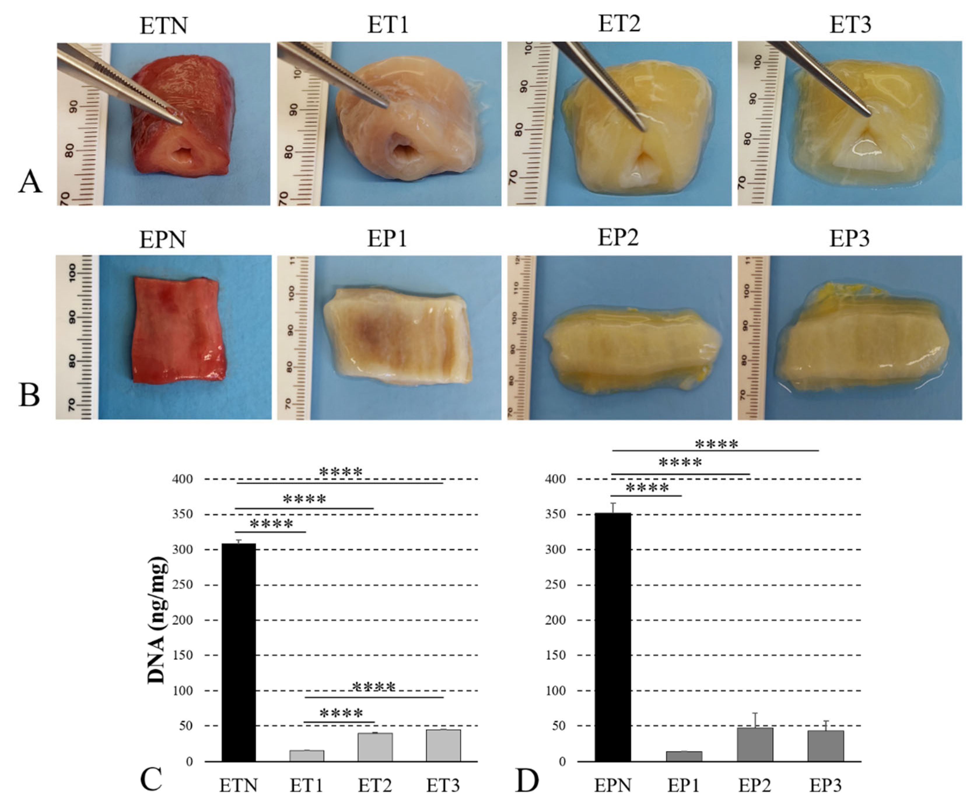 Cells 11 02945 g001 Cells 11 02945 g001