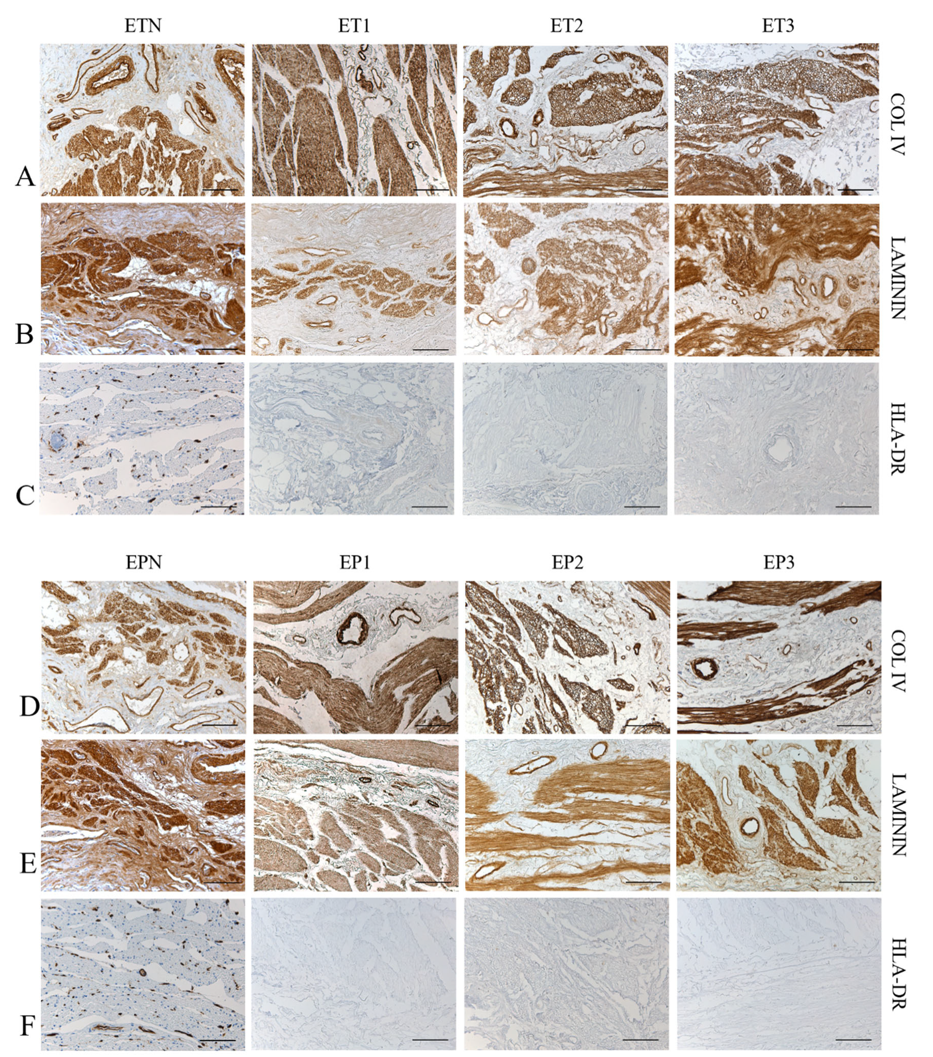 Cells 11 02945 g003 Cells 11 02945 g003