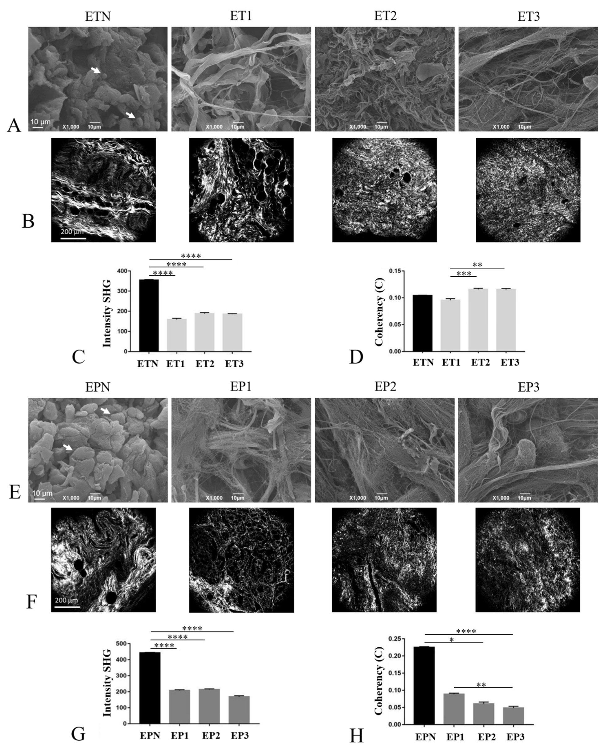Cells 11 02945 g005 Cells 11 02945 g005