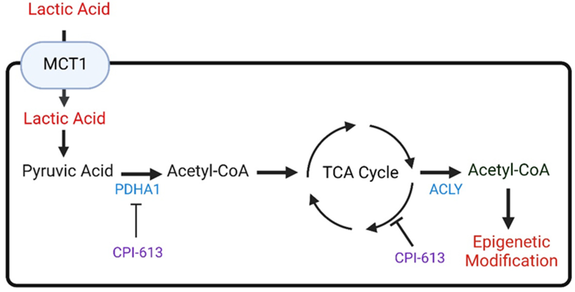 Cells 11 02956 g003 Cells 11 02956 g003
